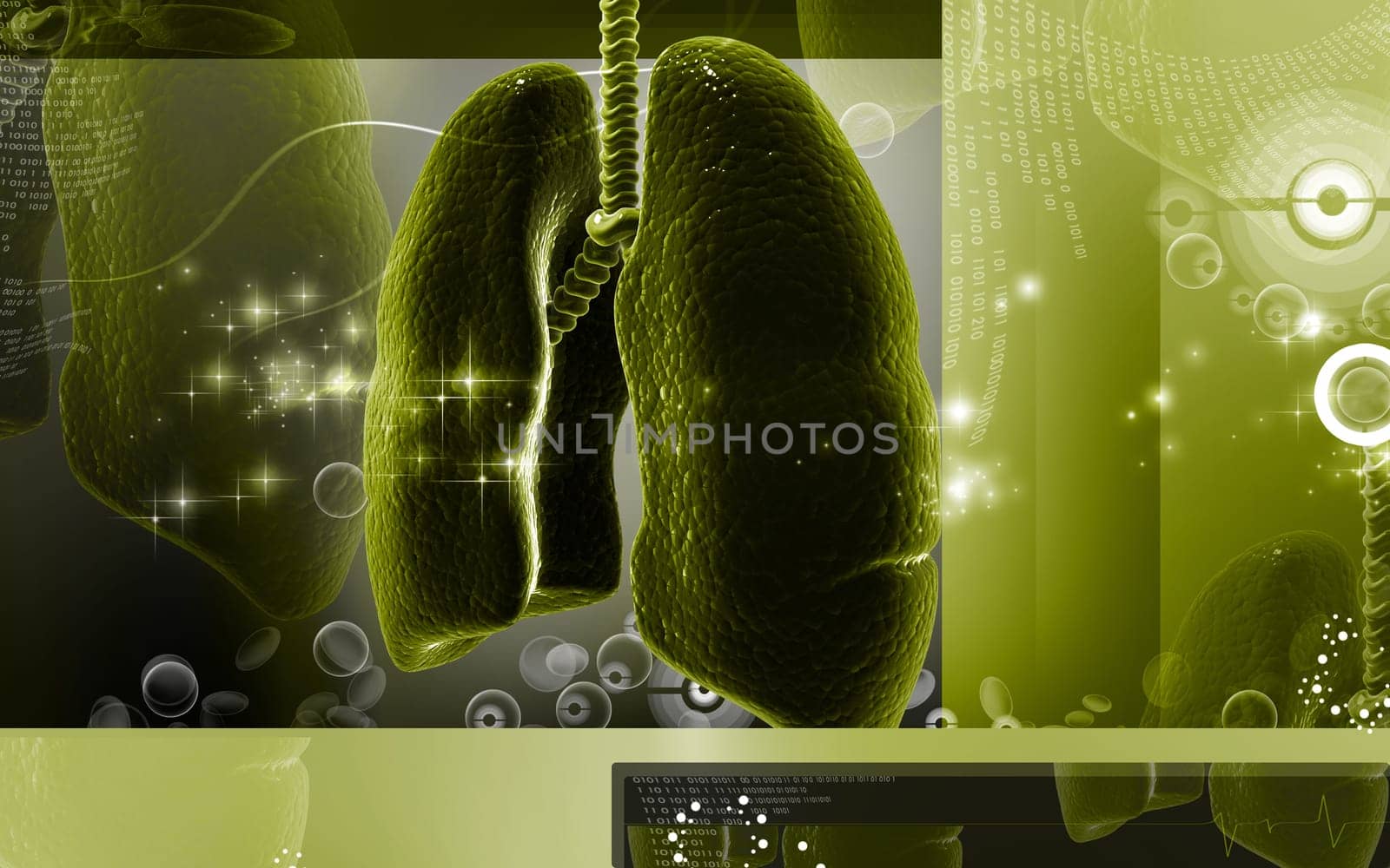 Digital illustration of human lungs in colour background