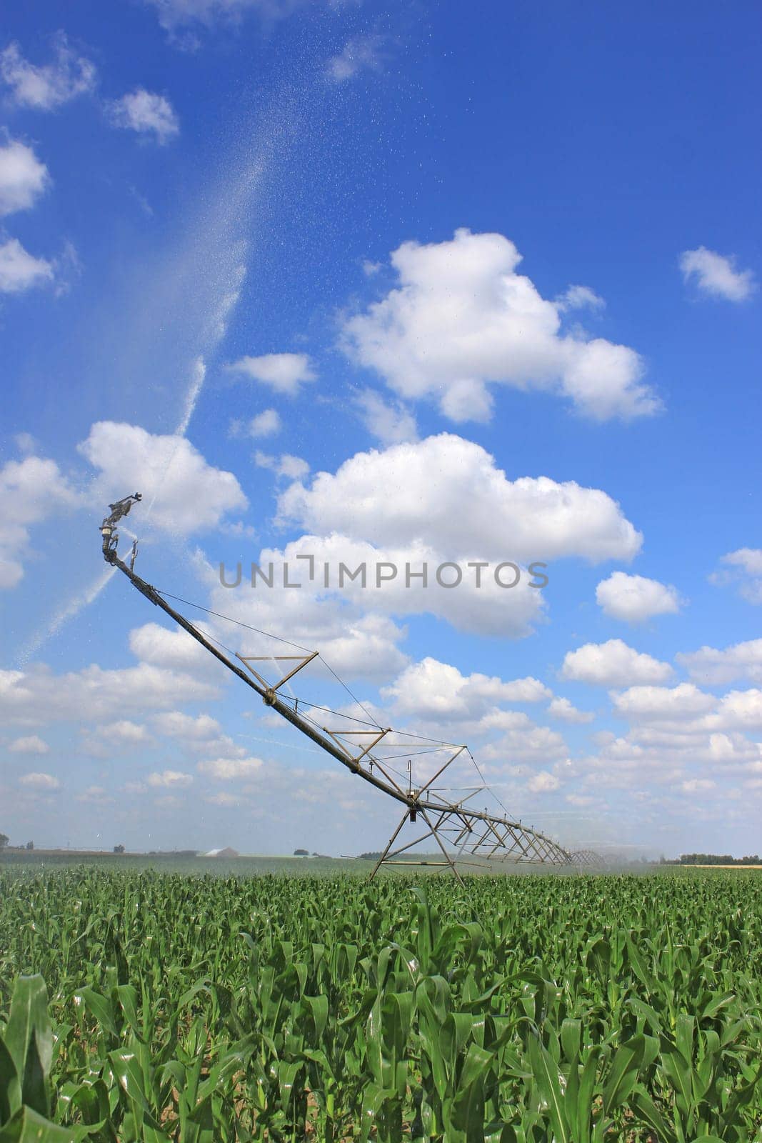 an irrigation system for agriculture in a grain field