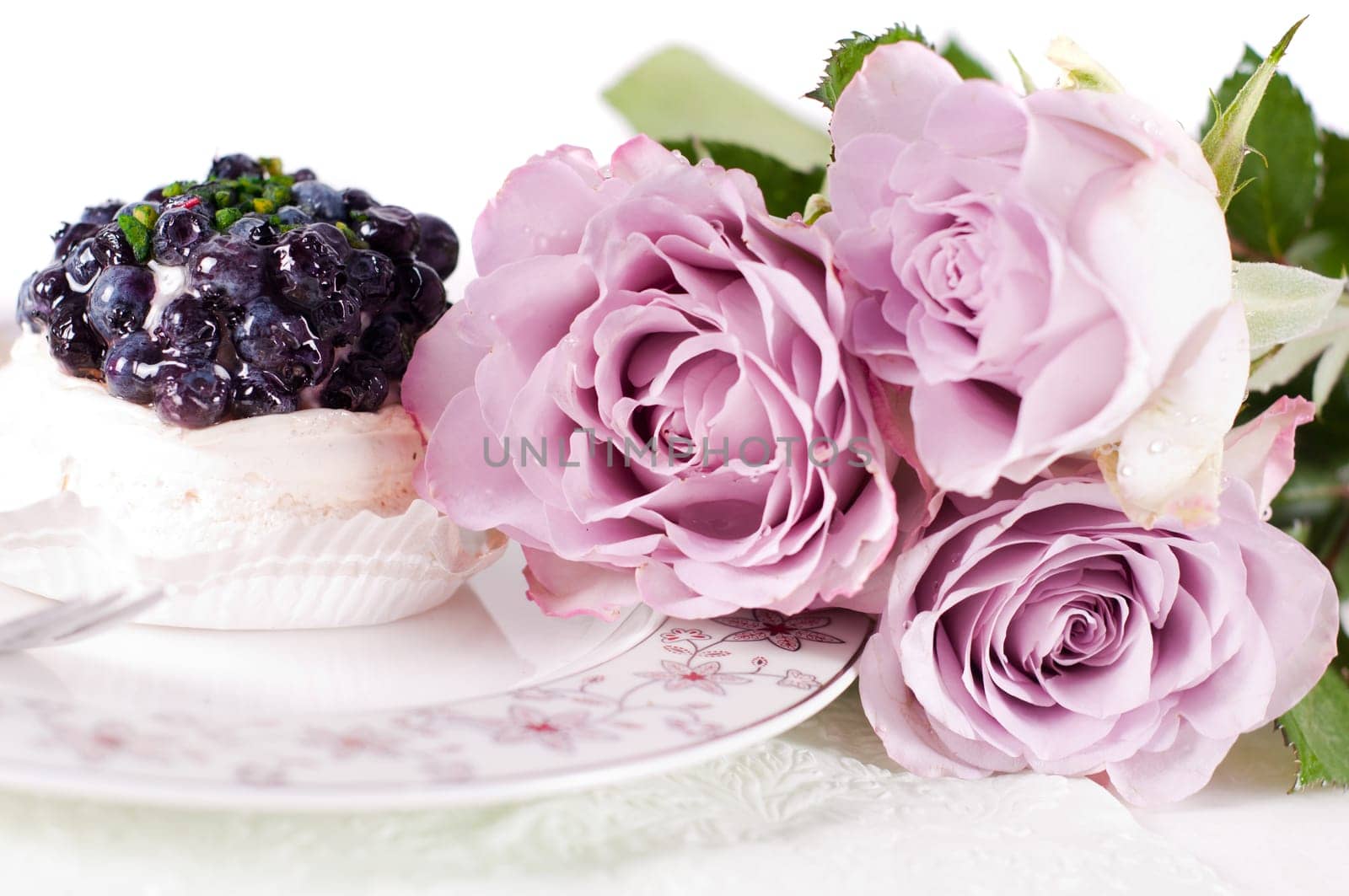 Shot of beautiful tender pastel shade roses