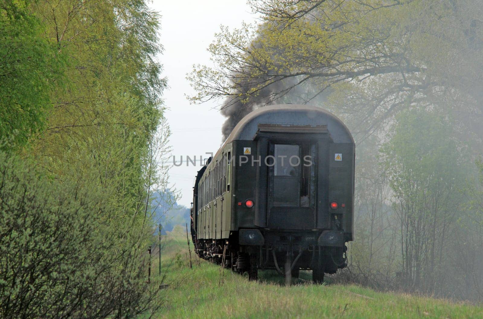 Steam retro train passing the forest