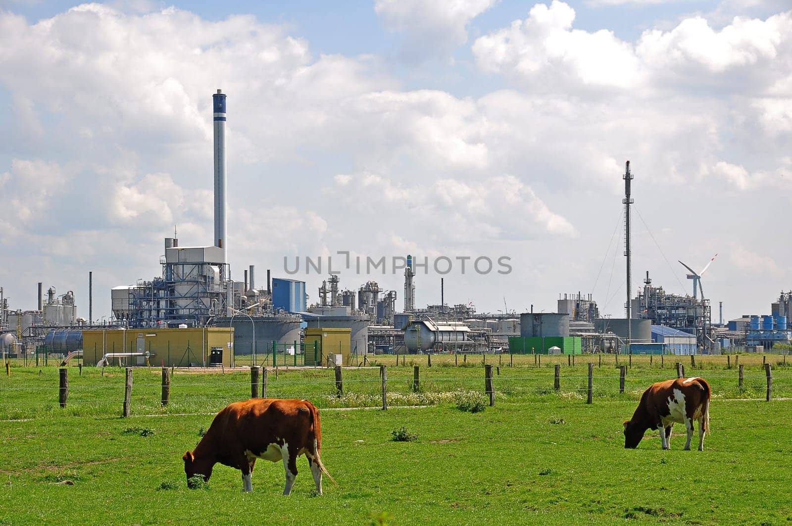 Industry and agriculture