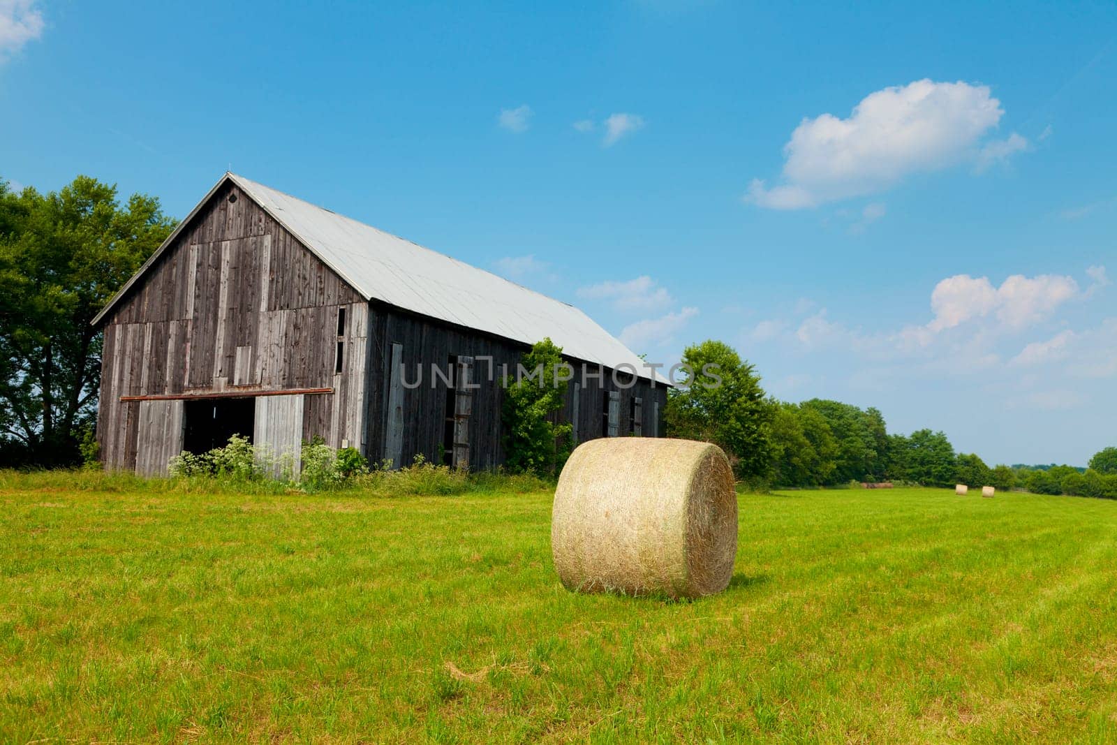 Hay bales in a field with an old barn on a sunny day