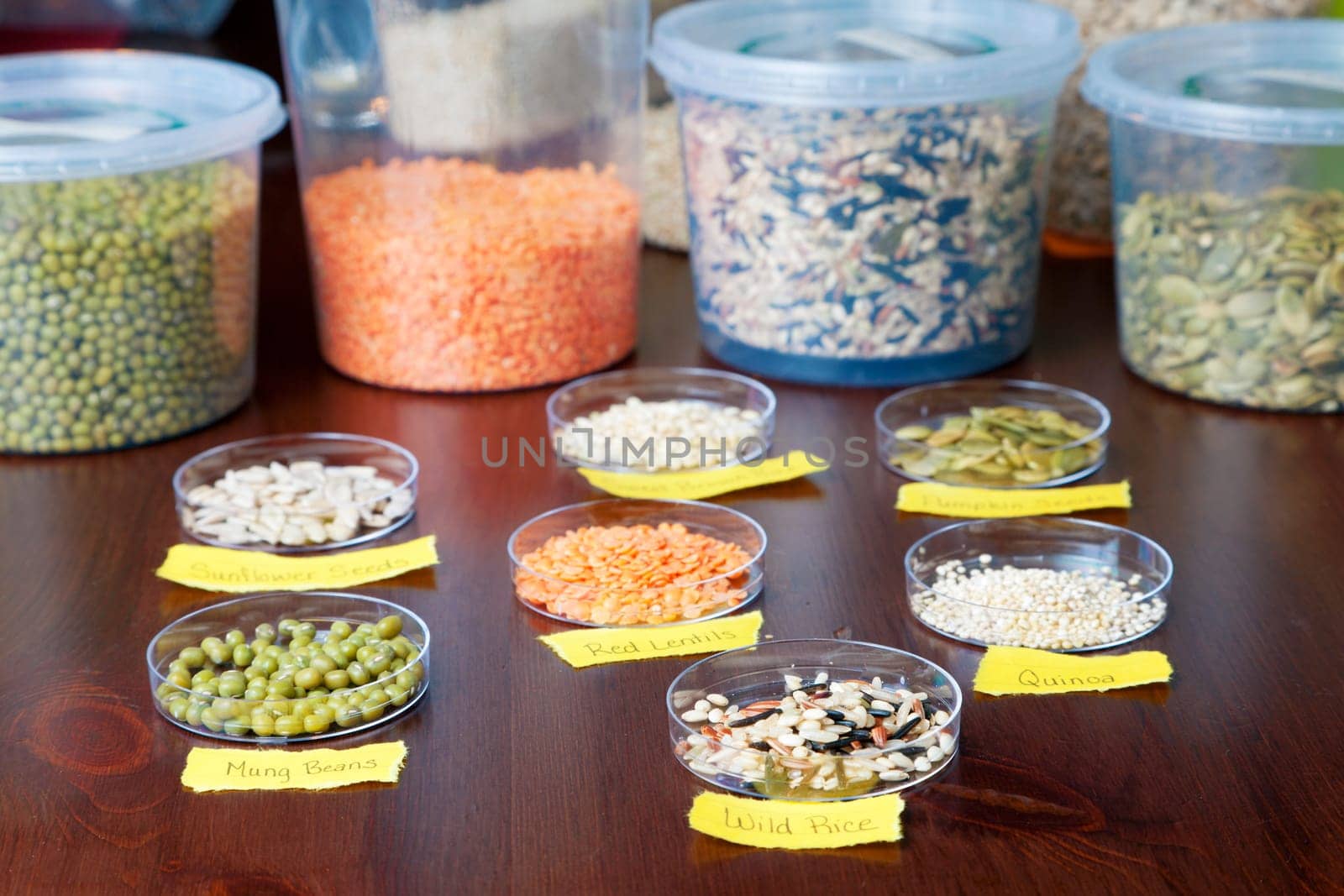 Display of healthy ingredients on a table