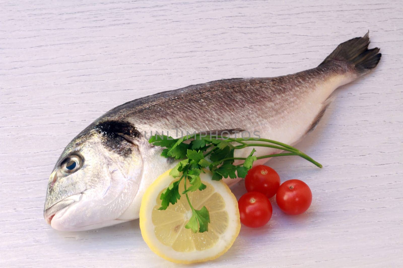 an isolated sea bream with lemon