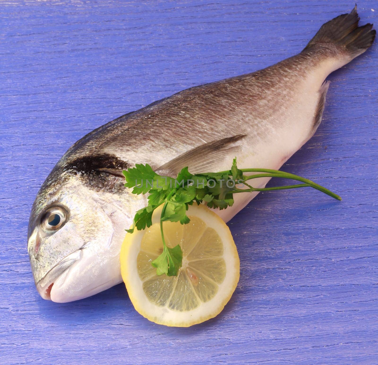 an isolated sea bream with lemon