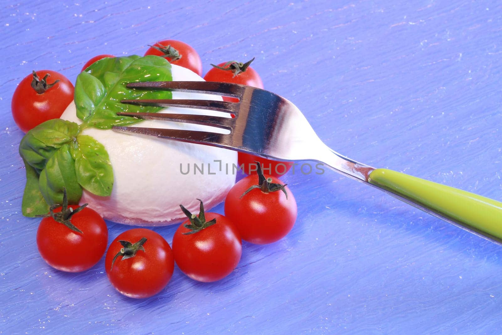 italian mozzarella with fresh tomatoes