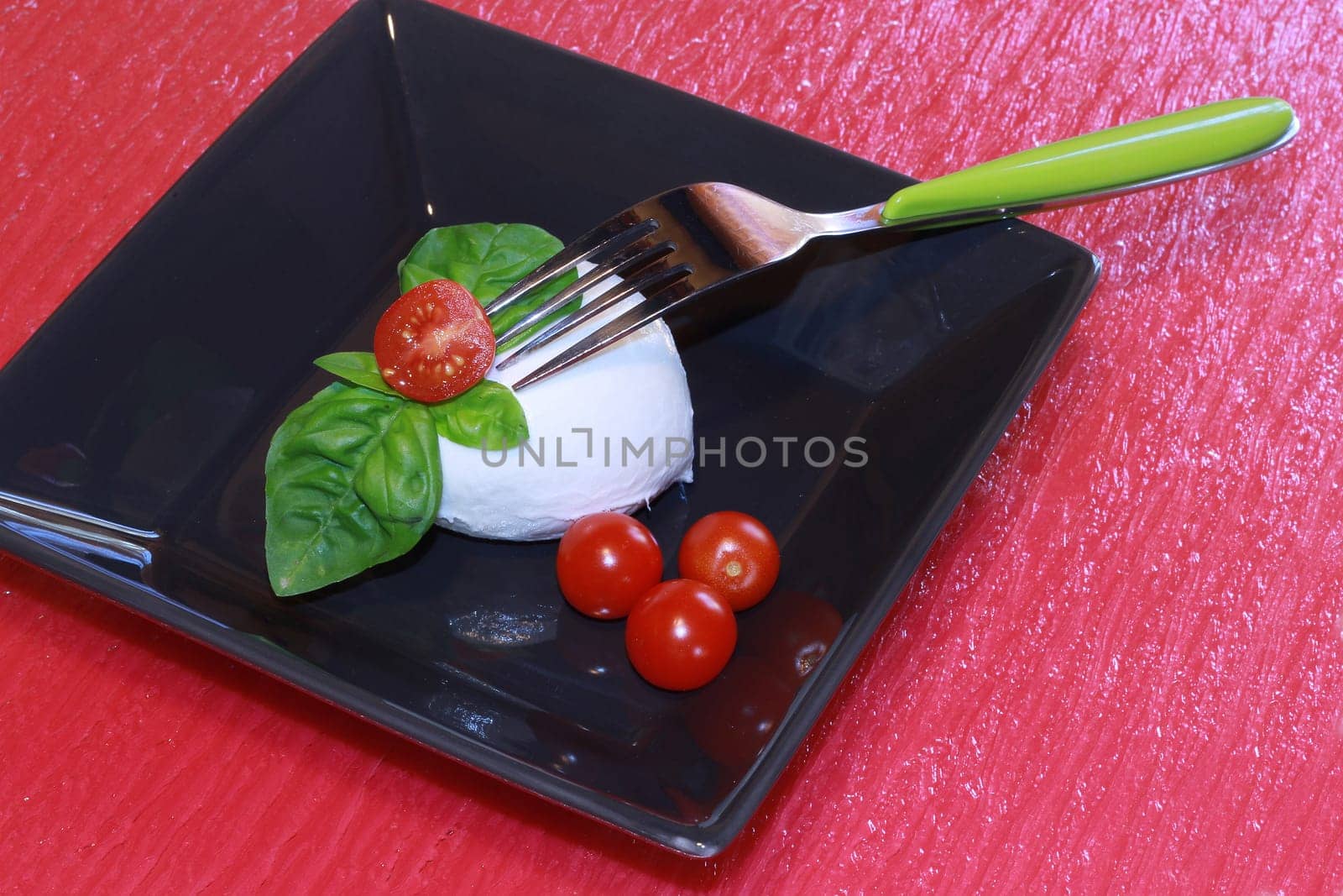 italian mozzarella with fresh tomatoes