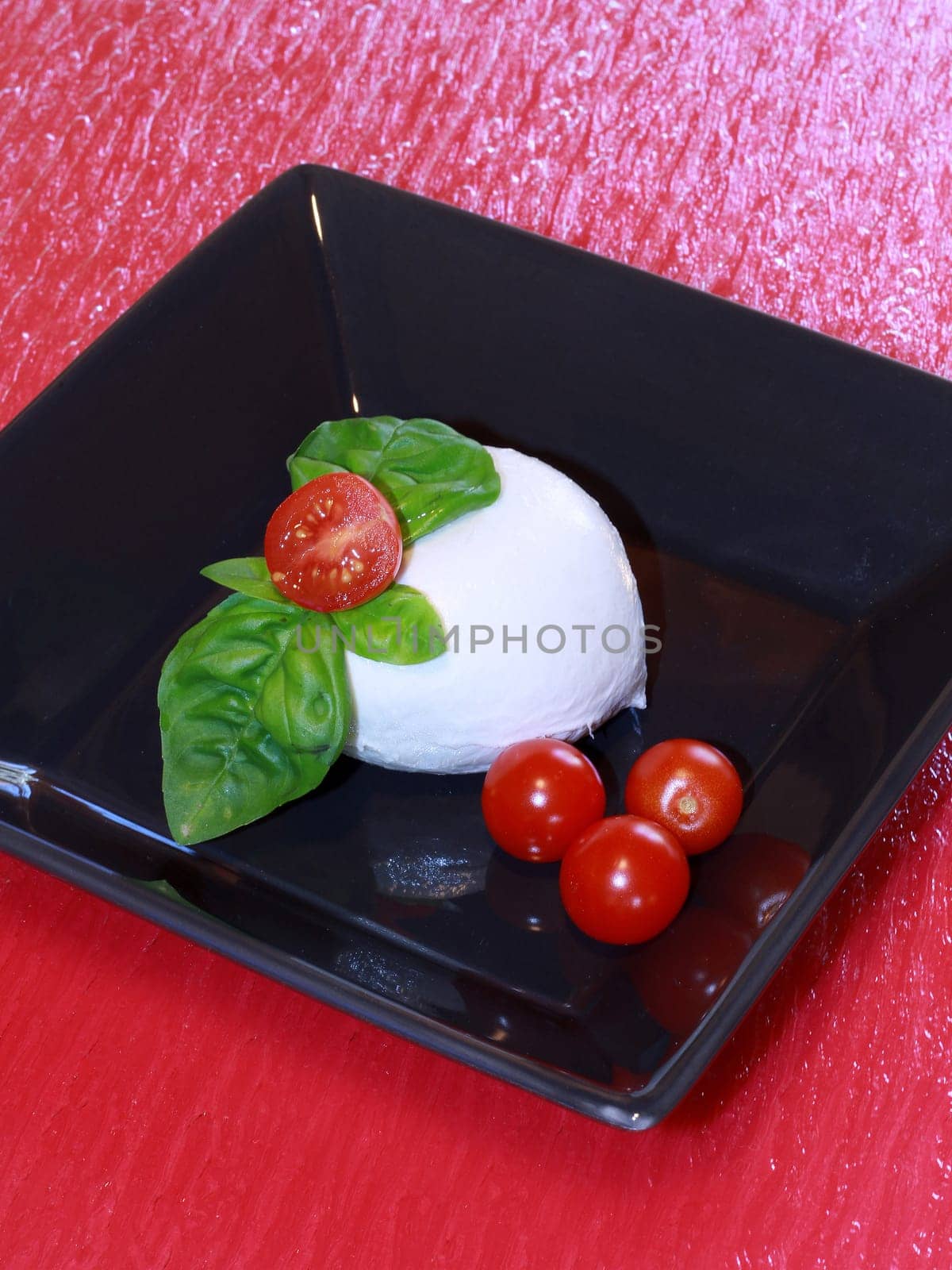 italian mozzarella with fresh tomatoes