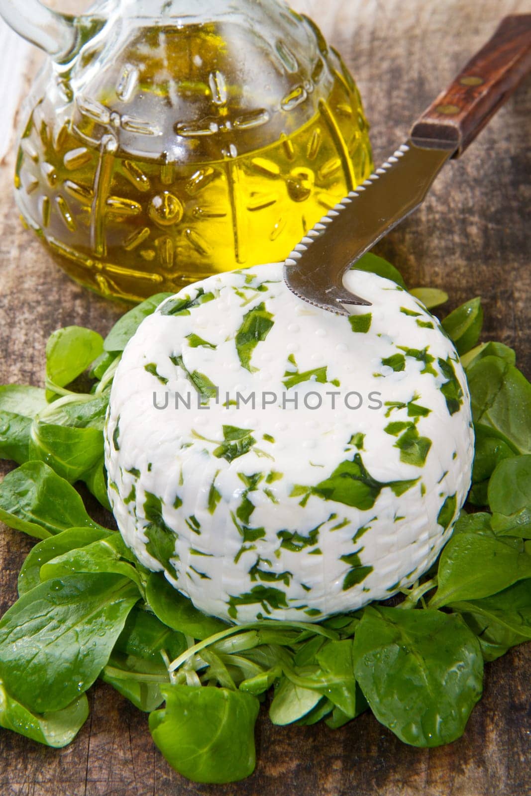 goat cheese with fresh rucola