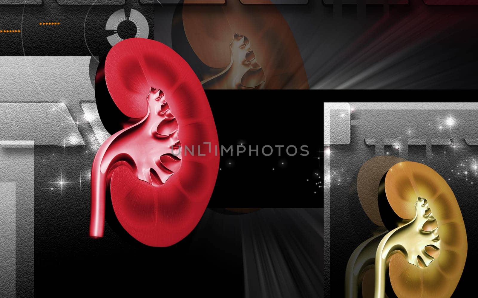 Digital illustration of kidney in colour background