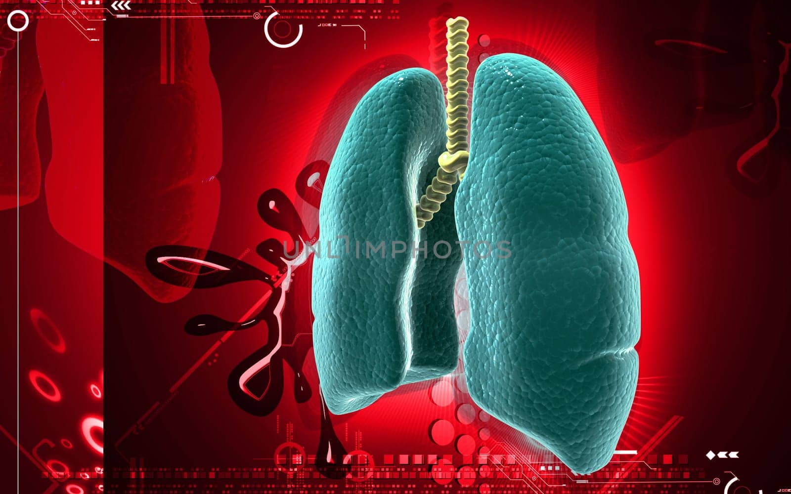 Digital illustration of human lungs in colour background