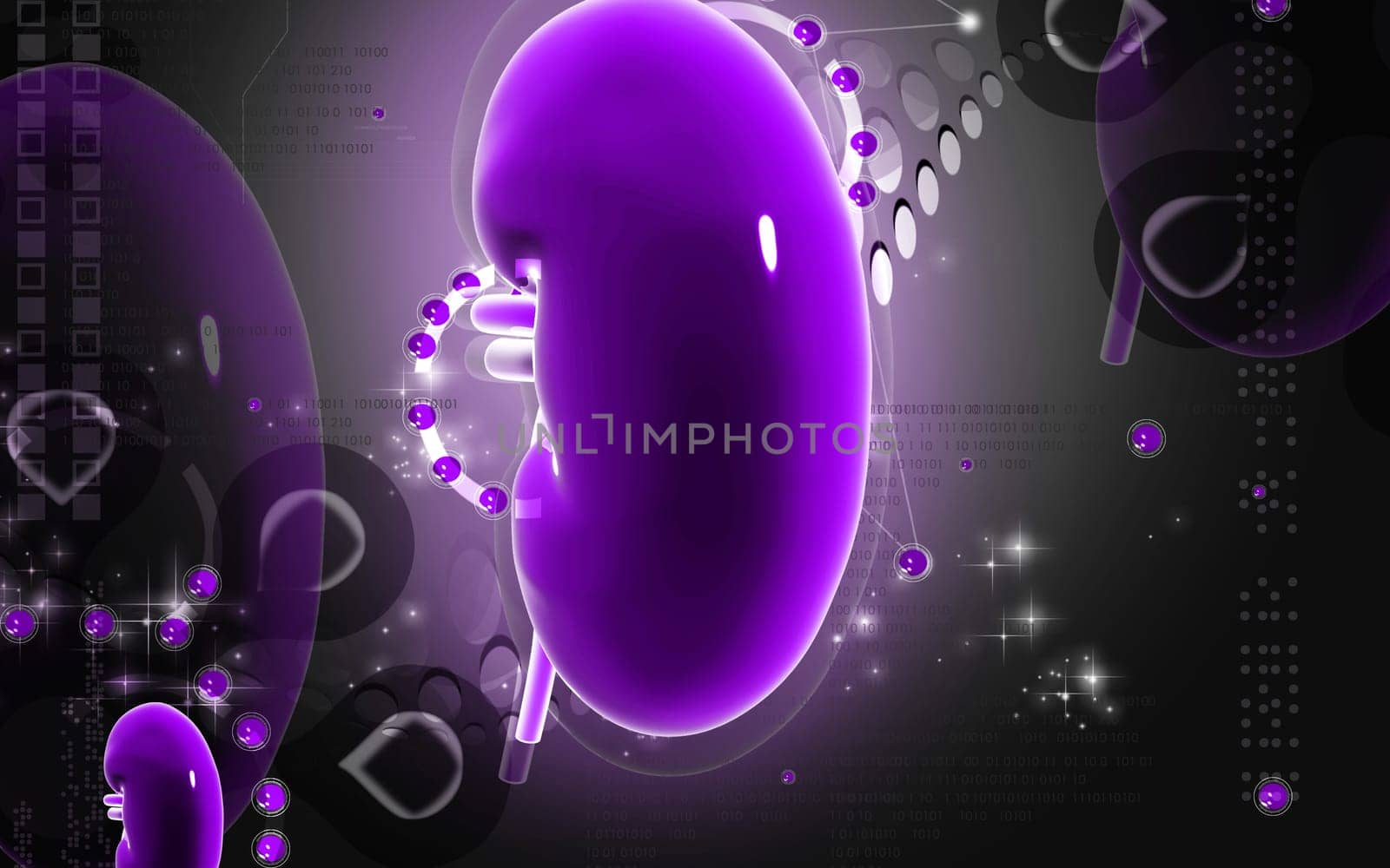 Digital illustration of kidney in colour background