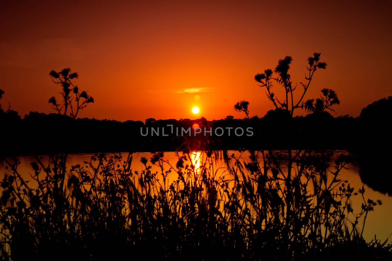 View of a beautiful and vibrant sunset with reflection on the water.