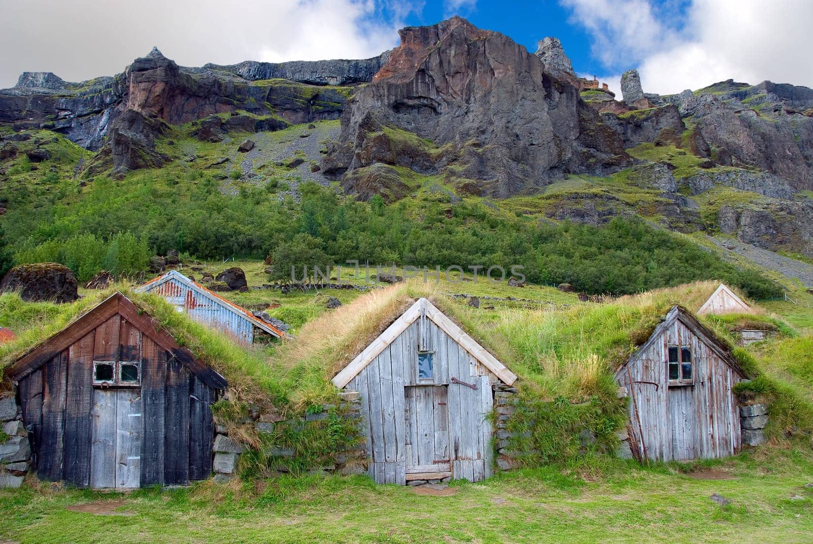 wooden houses with grass roof