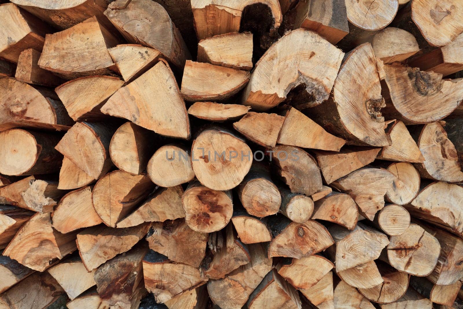 a lot of trees cut and stacked