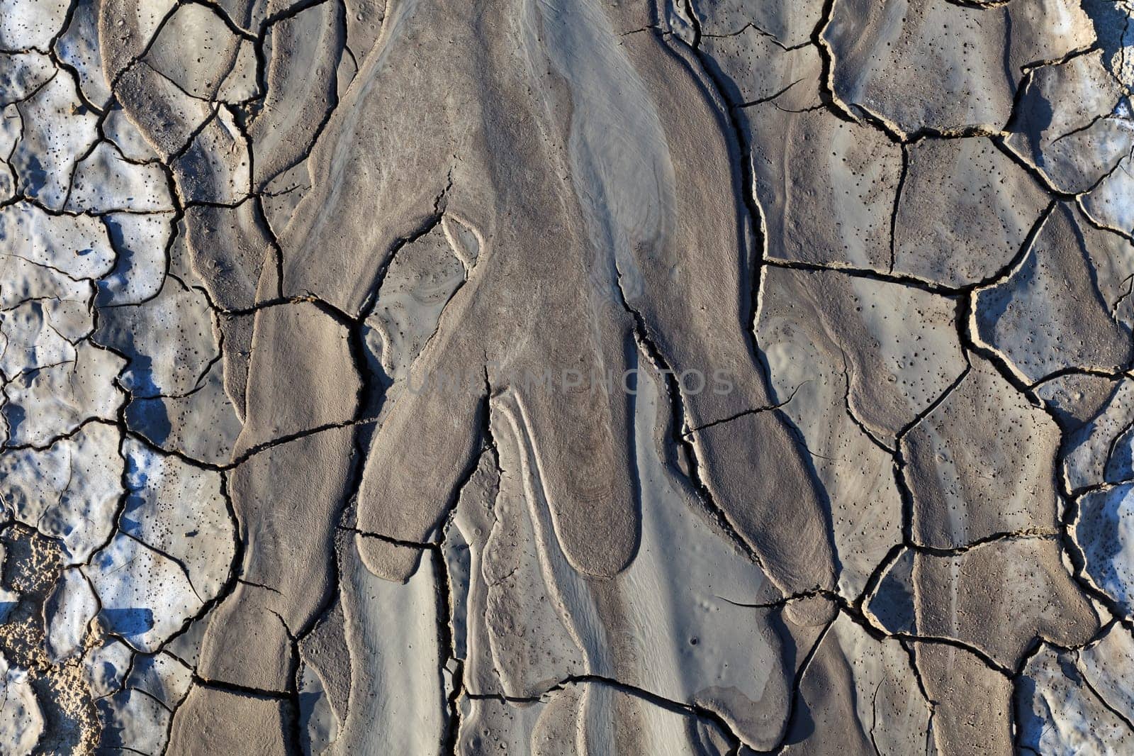 a nice texture on a dry land