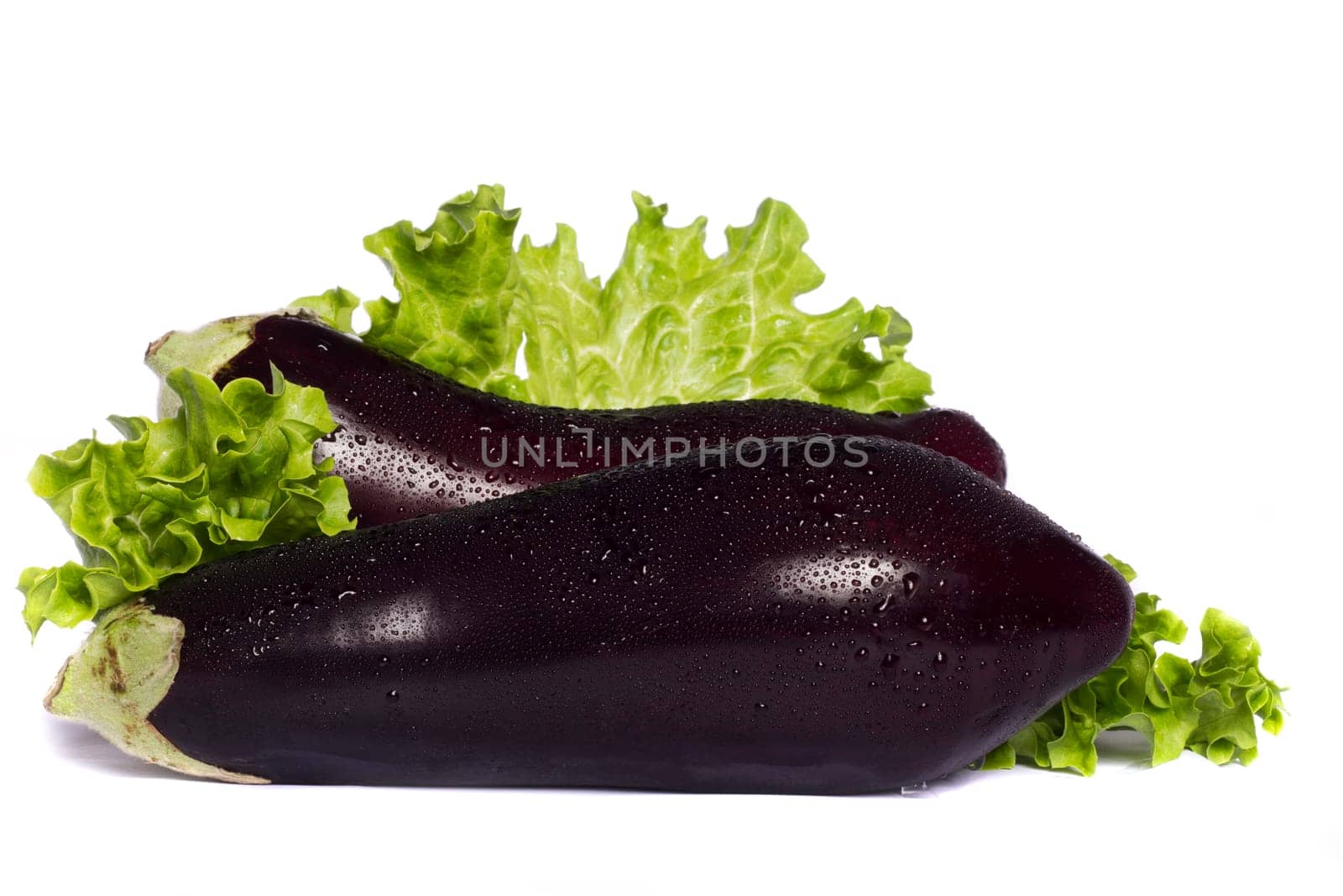 Close up view of an eggplant vegetable isolated on a white background.