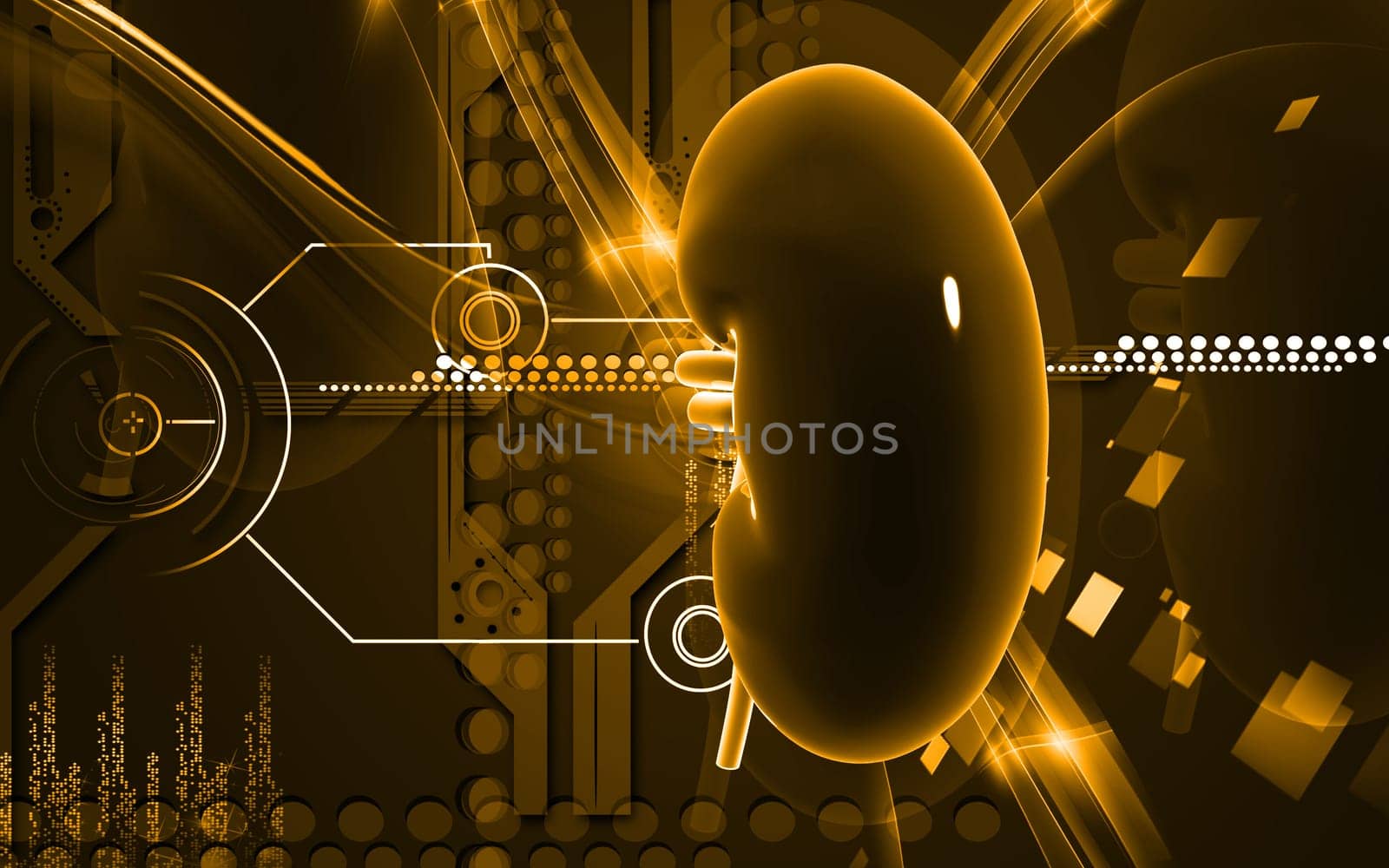 Digital illustration of kidney in colour background