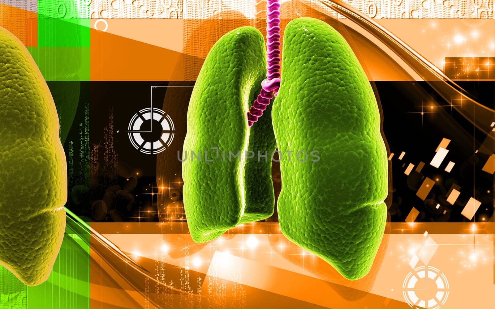 Digital illustration of human lungs in colour background