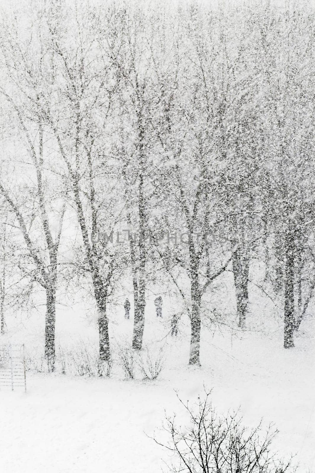 People walking in city park while heavily snowfalling