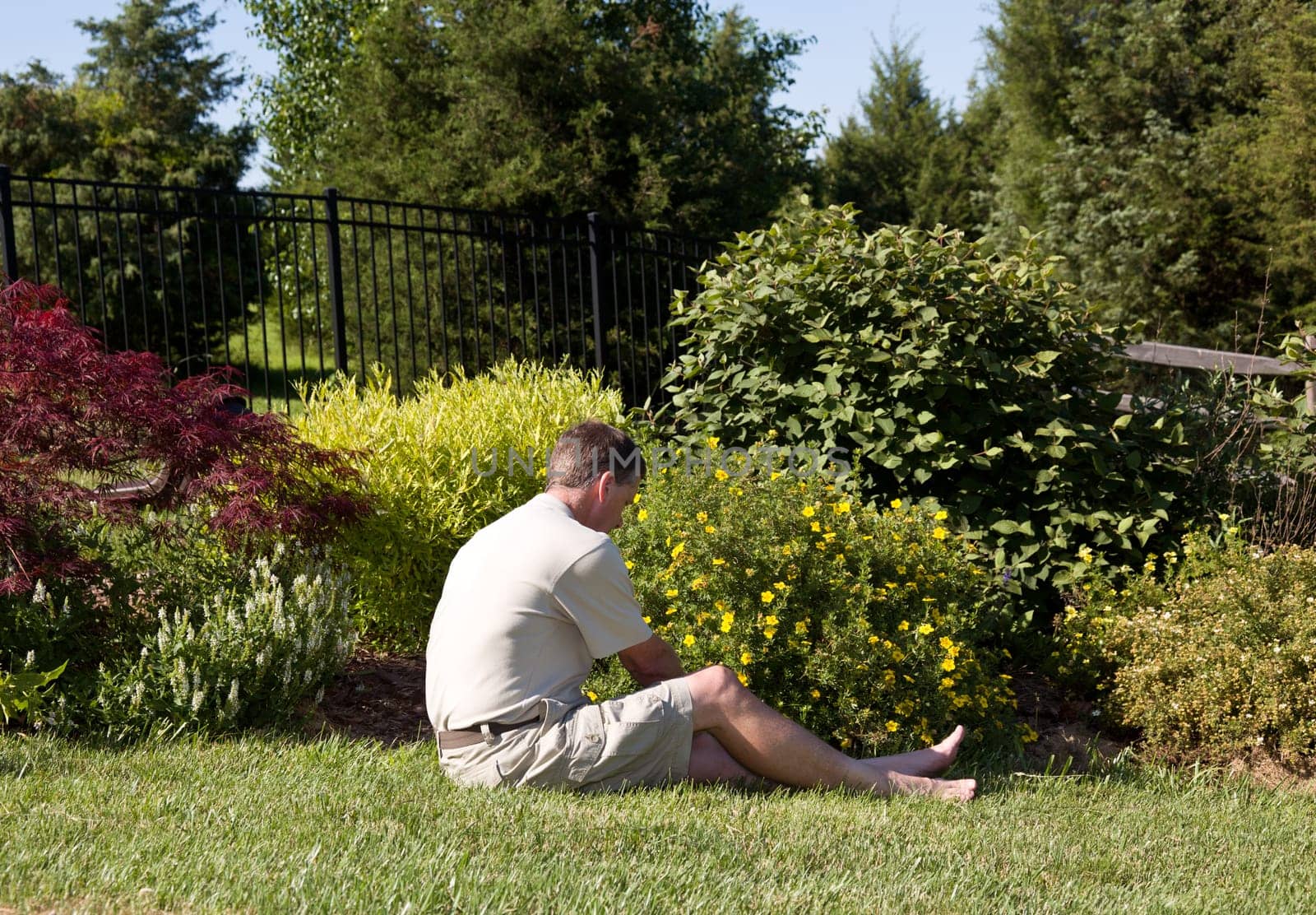 Baby boomer sitting on the grass lawn and digging for weeds in a flowerbed