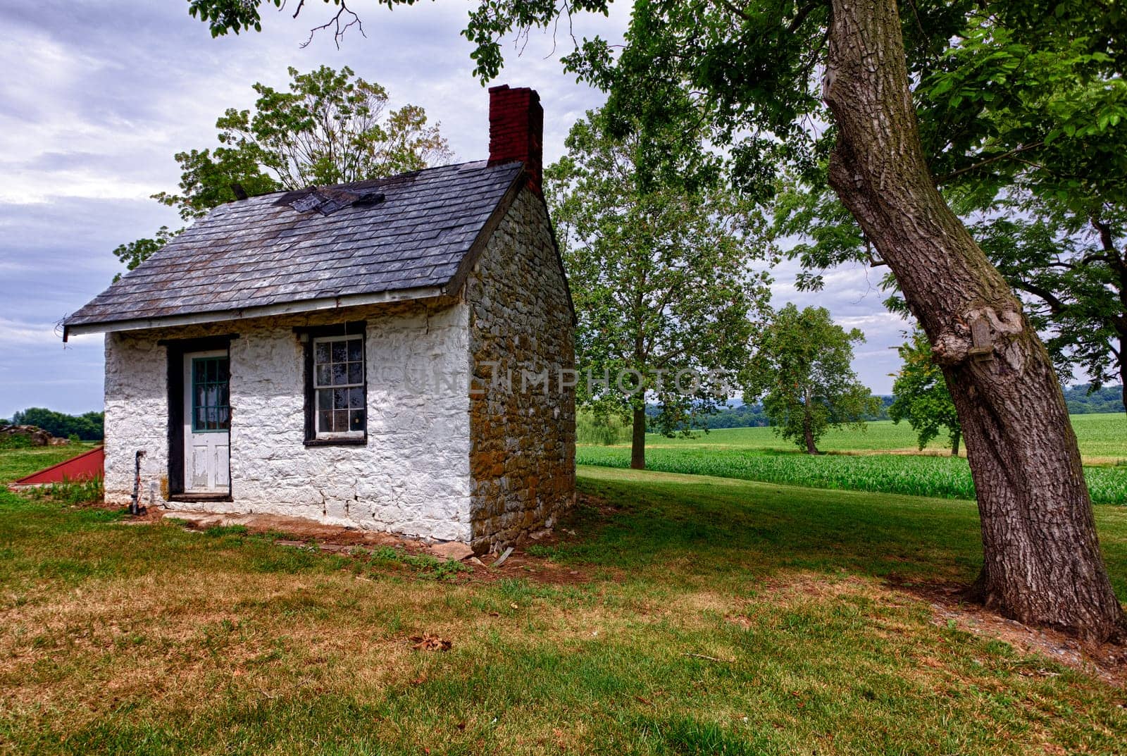 Old stone white washed cottage on farmland with trees and plants in the background. Slate roof