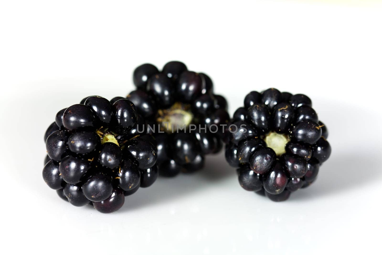 Fresh blackberries