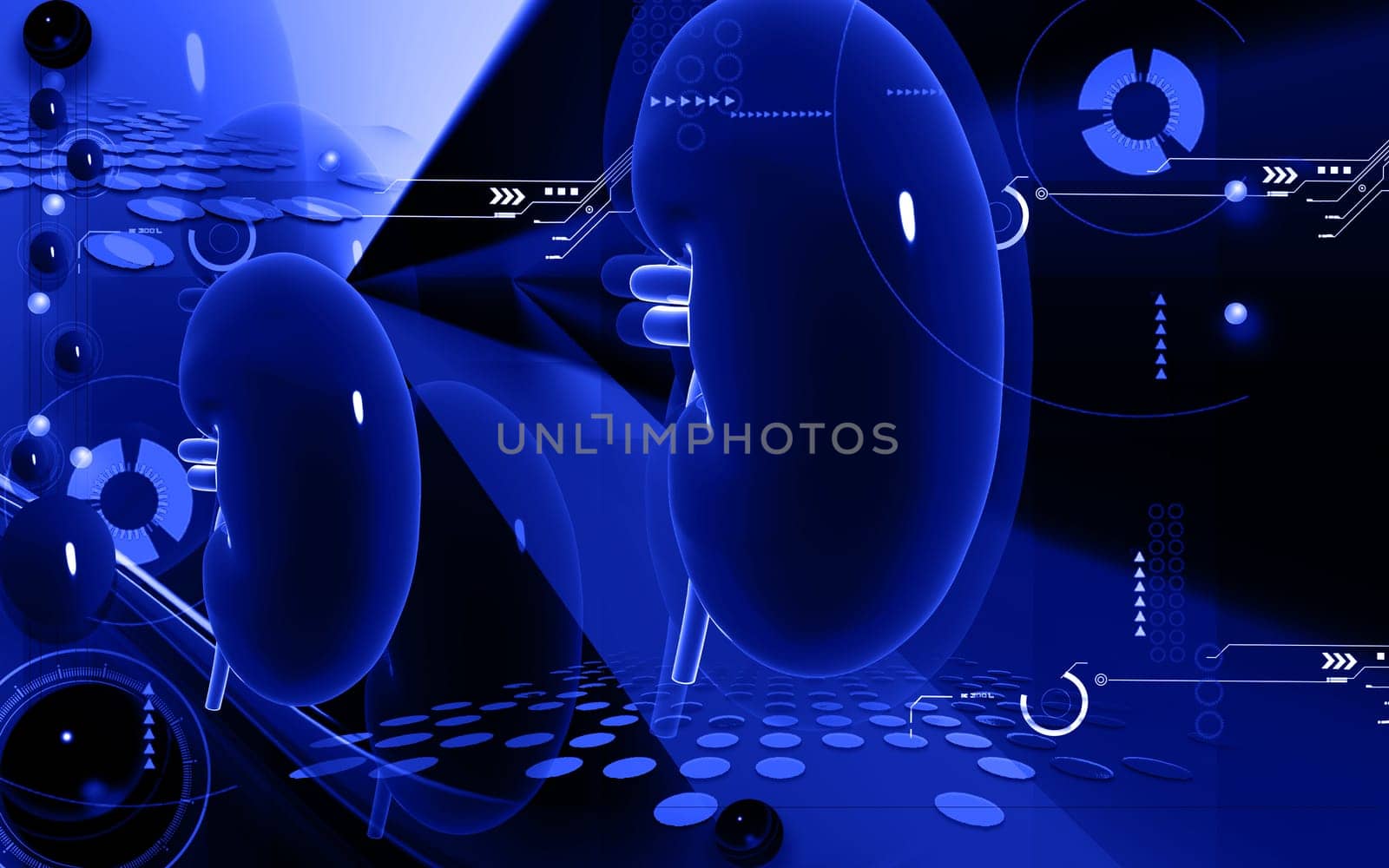 Digital illustration of kidney in colour background