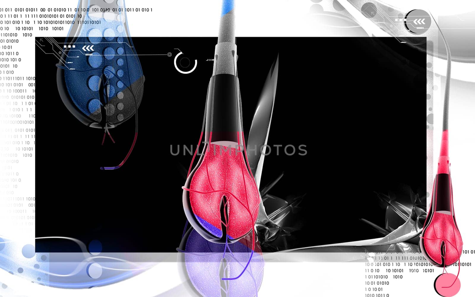 Digital illustration of Hair cross section in colour background