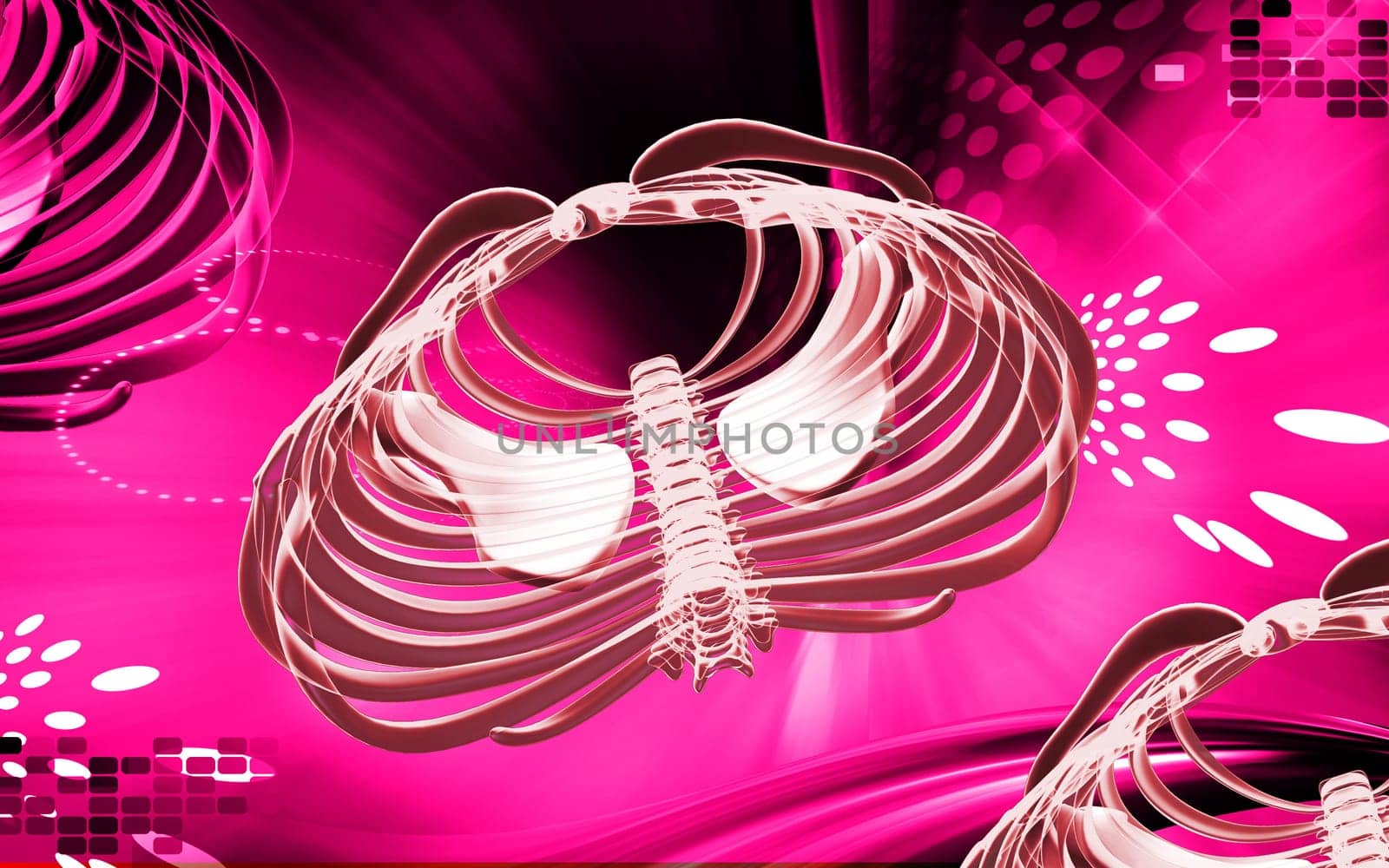 Digital illustration of collar bone in colour background
