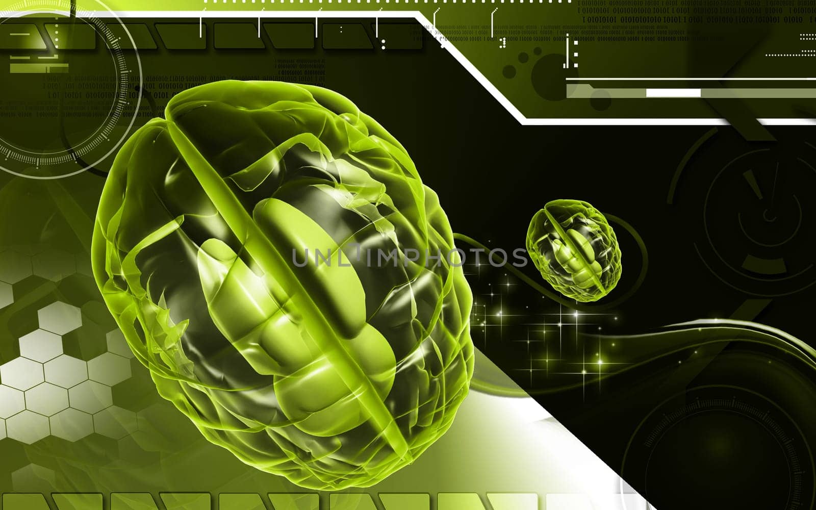 Digital illustration of brain in colour background
