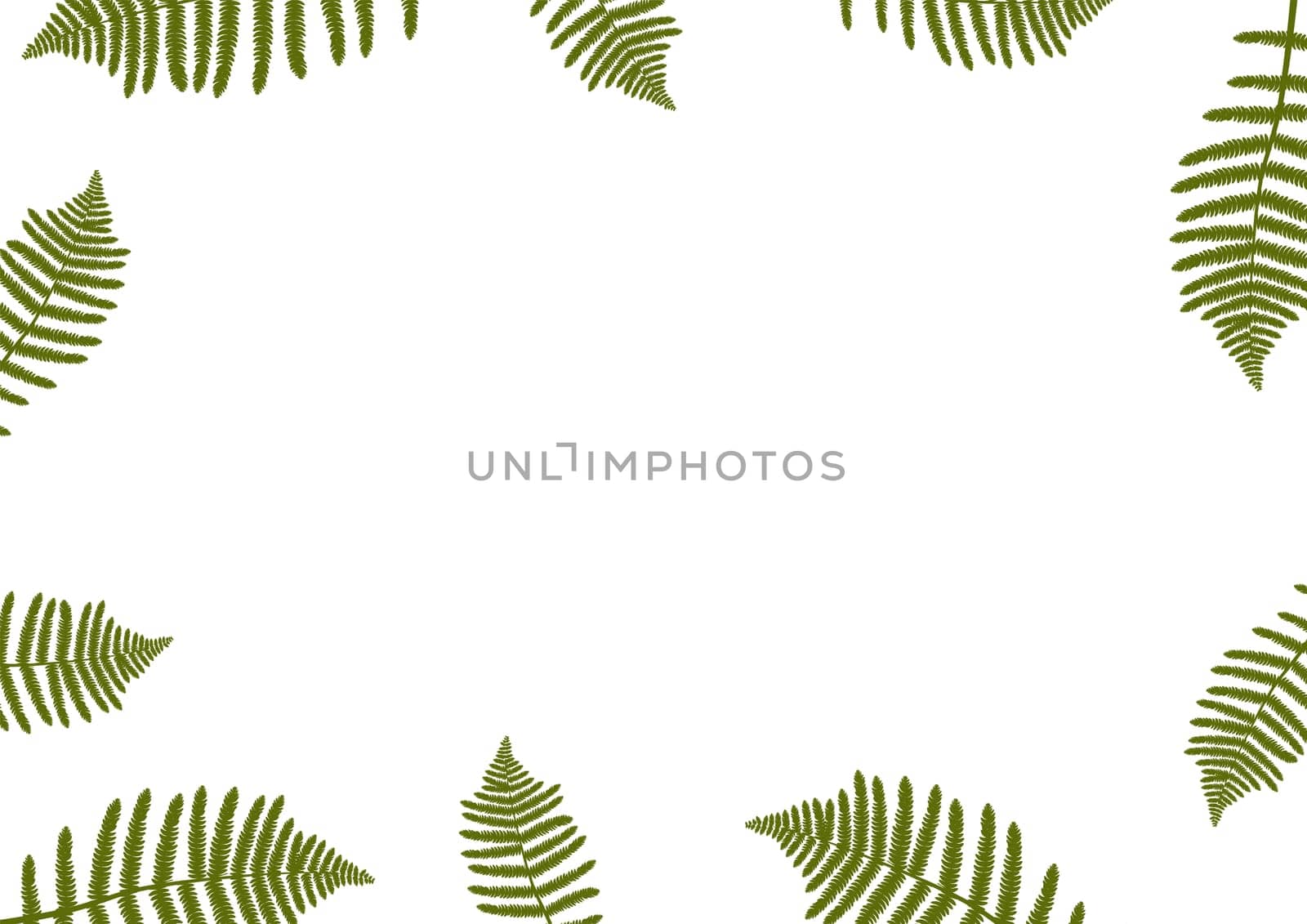 Fern as a frame