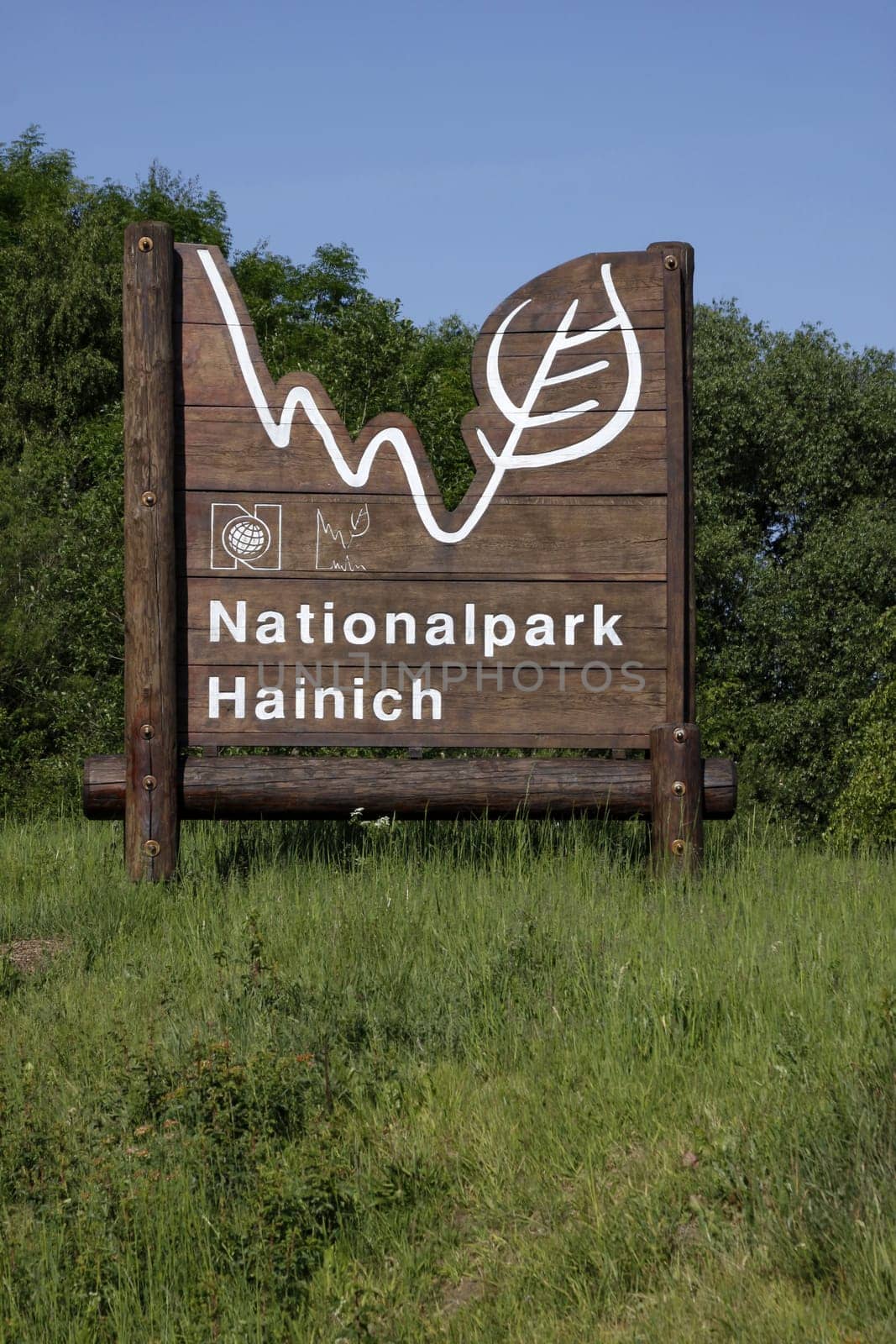 Hainich National Park