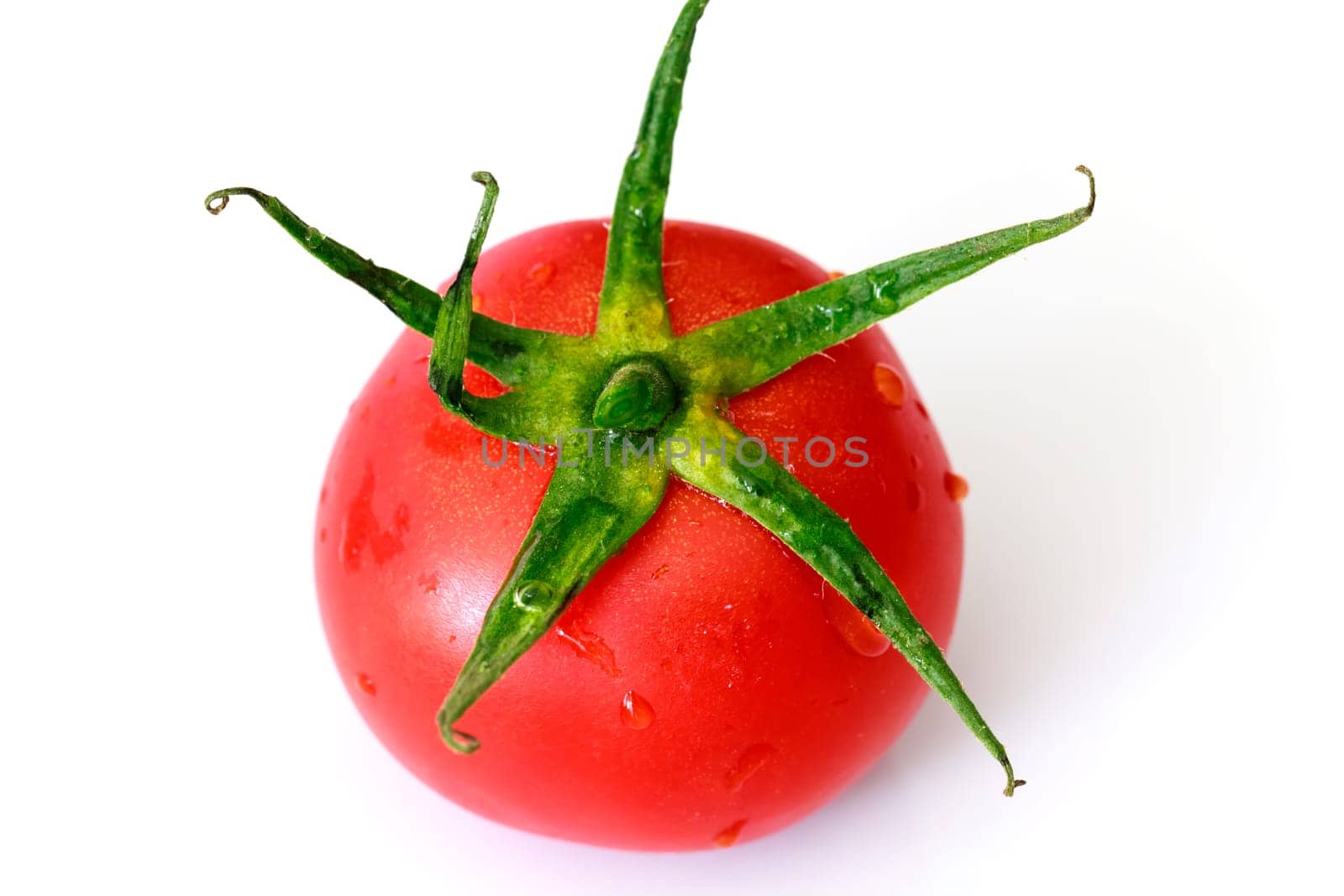 Tomato