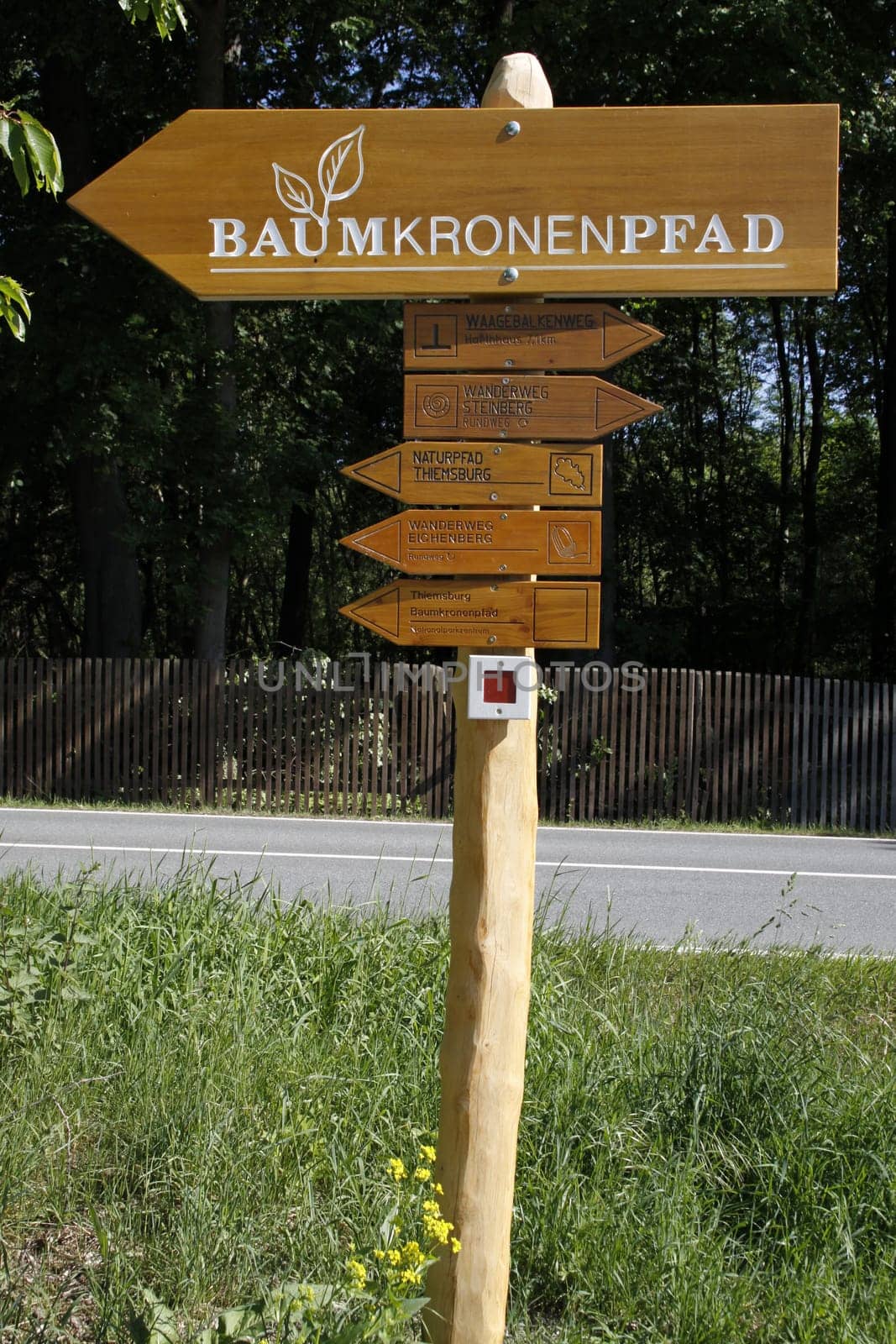 Hainich National Park Treetop Walk
