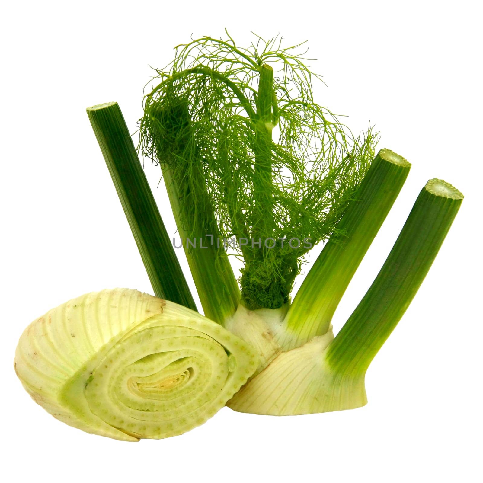 Fennel bulb cut open into top and bottom