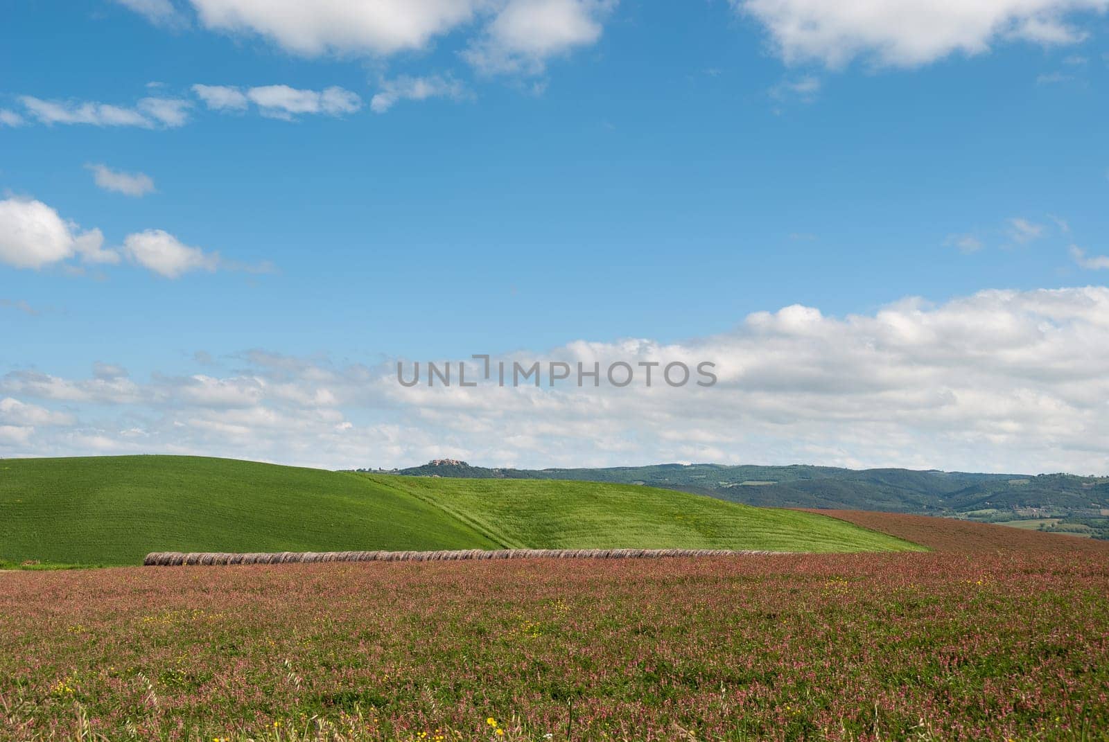 Landscape Tuscan hills in the spring
