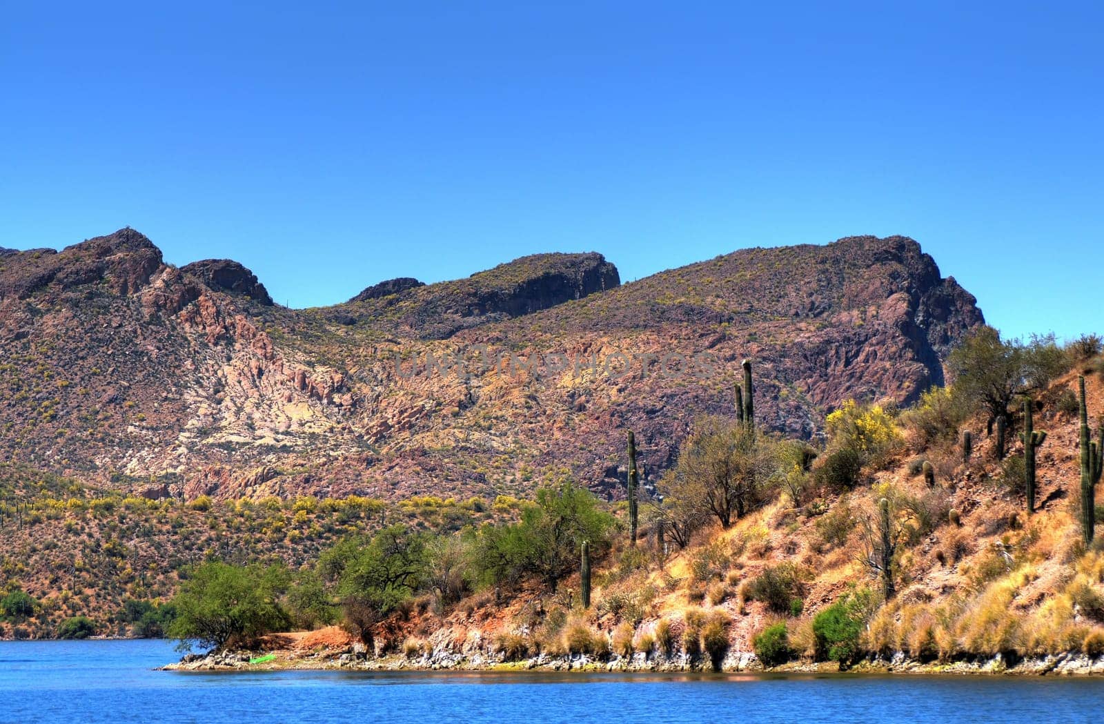 A large Arizona desert lake with clear blue sky