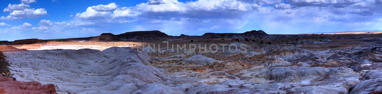 Panorama of the petrified forest in Arizona