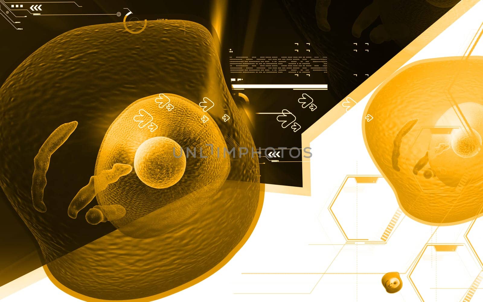 Digital illustration of human cell in colour background