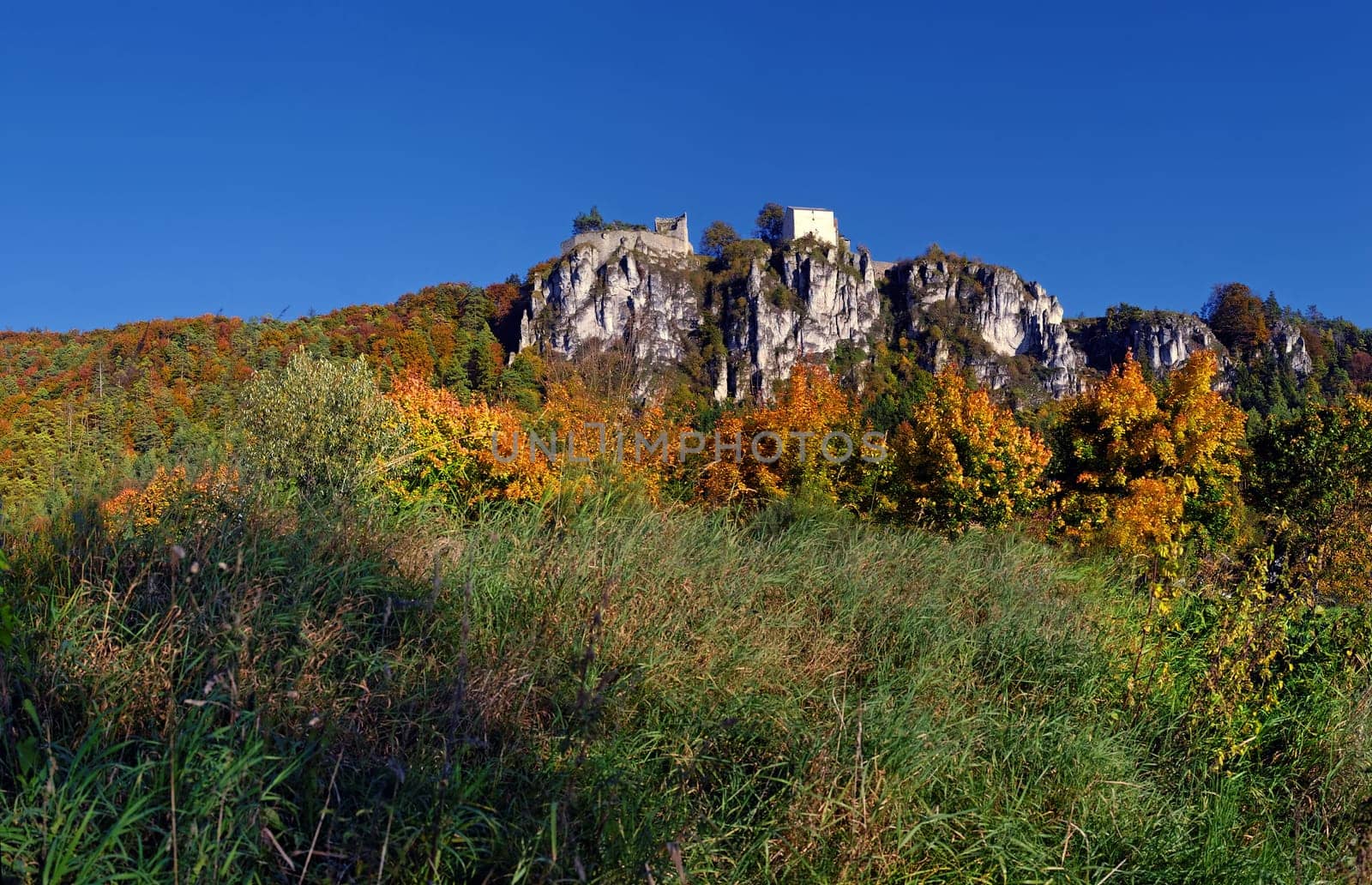 Altmühltal bei Arnsberg,Altmühltal Nature Park,Bavaria,Germany