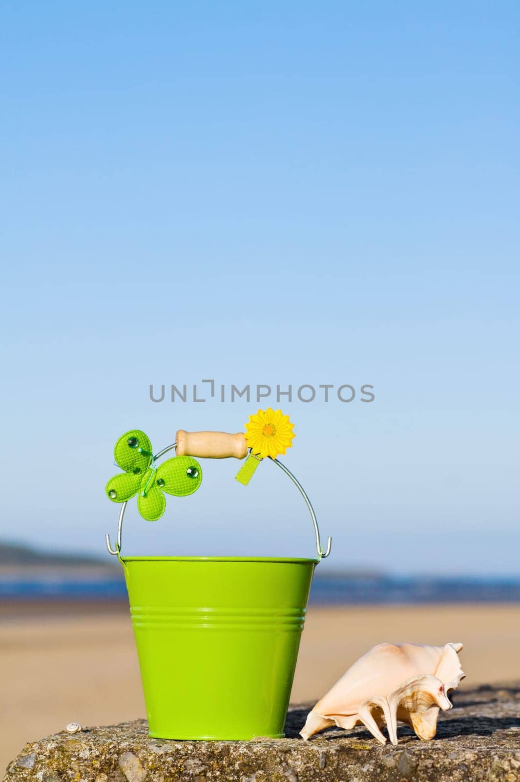 Enjoying the fun of summer holidays at the beach near the ocean. With room for your text.