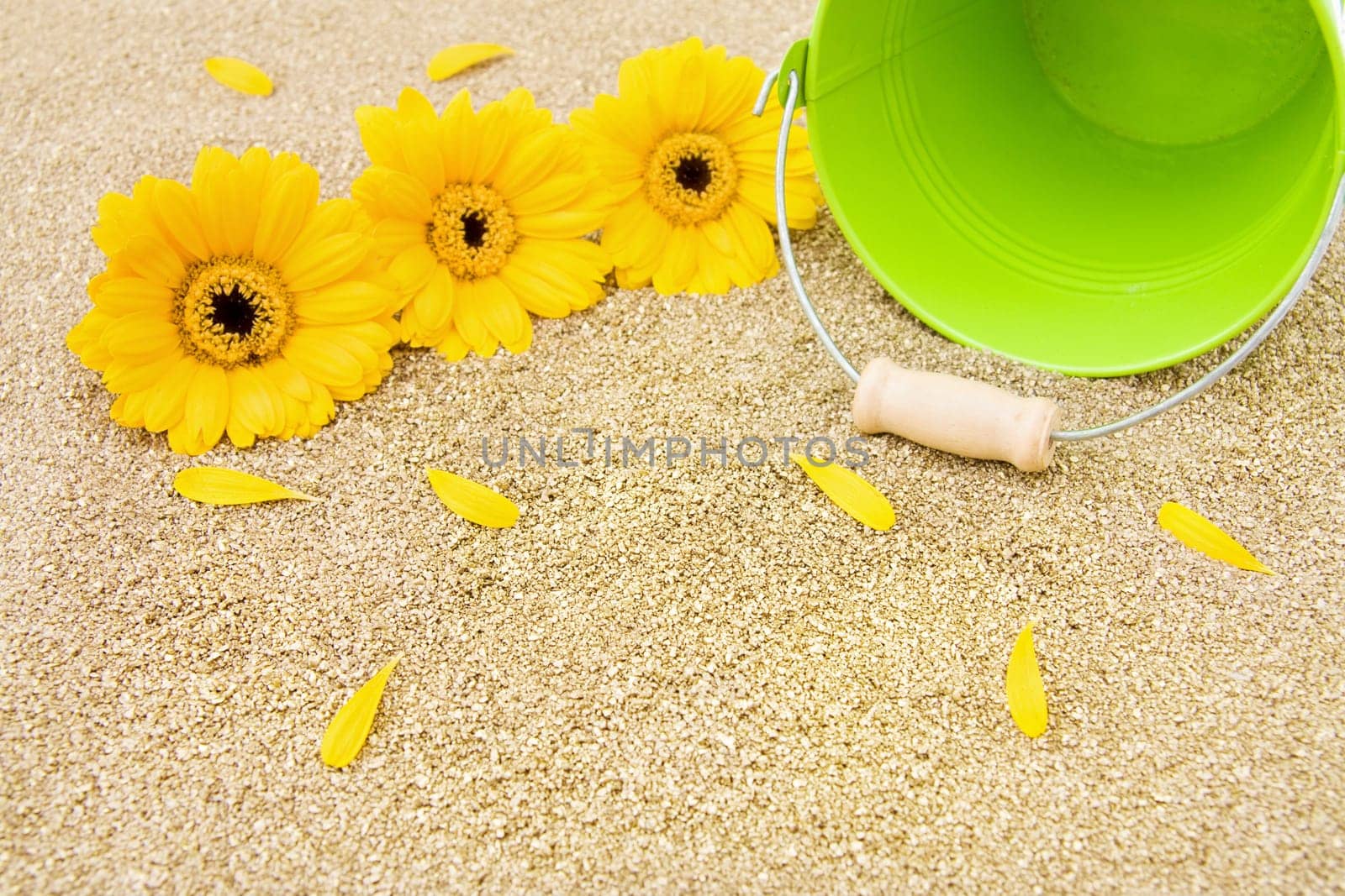 Golden sands, beautiful gerbera flowers and green bucket for summer holidays.