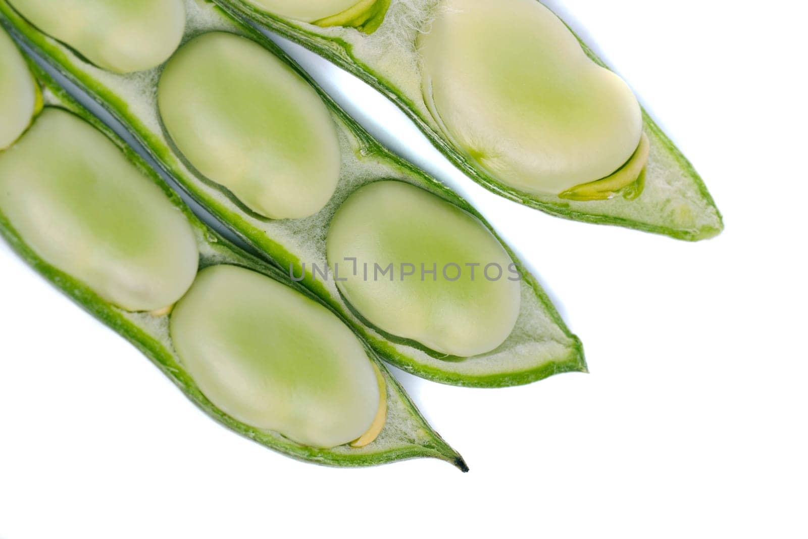 Close up view of some broad beans isolated on a white background.