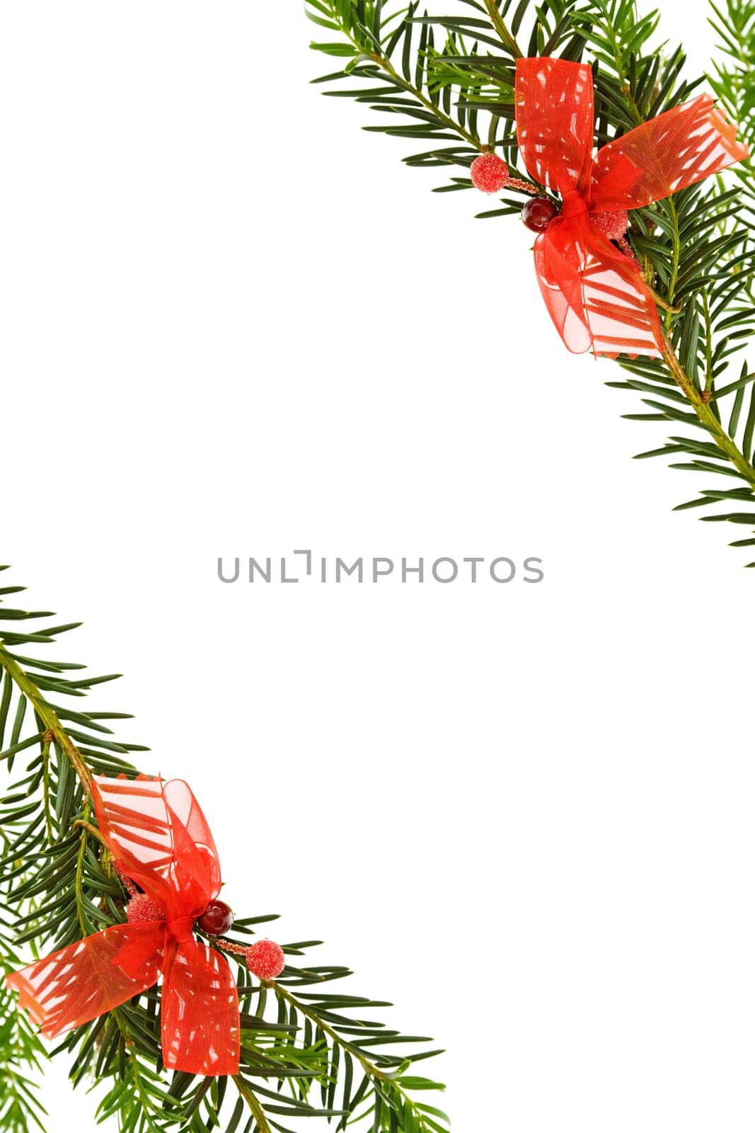 Christmas festive border with pine tree branches and red ribbons decorations. Isolated on white background.