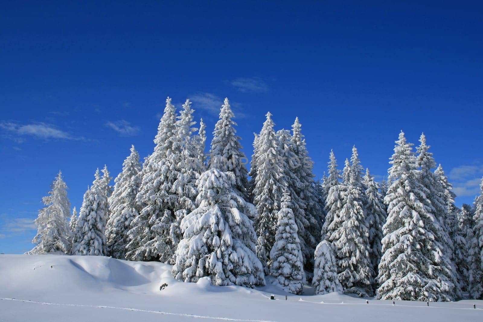 winter or winter snow or winter ice or winter deep snow