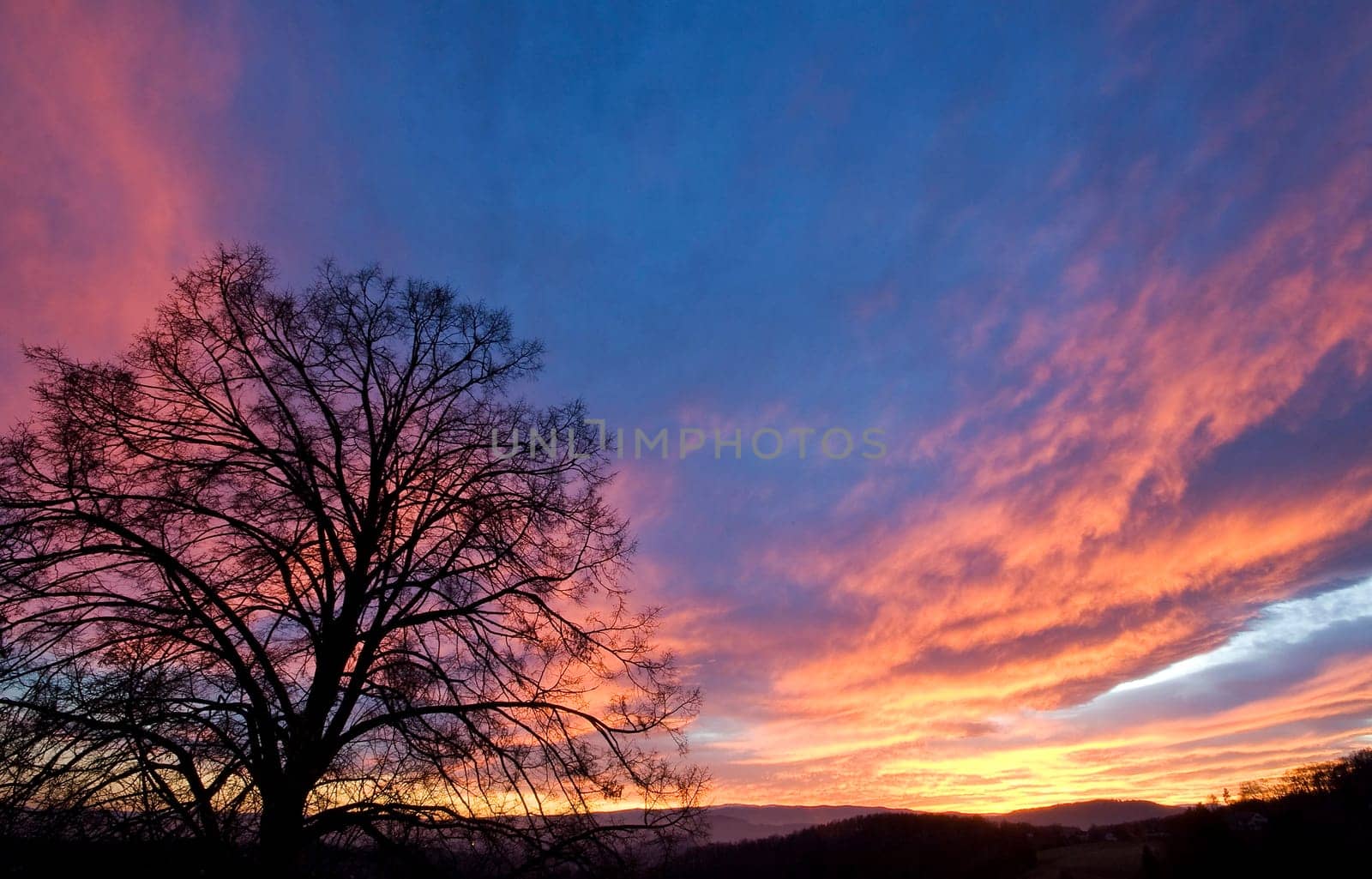 sunset or (sunset beach) or (sunset nature) or (sunset skyline)