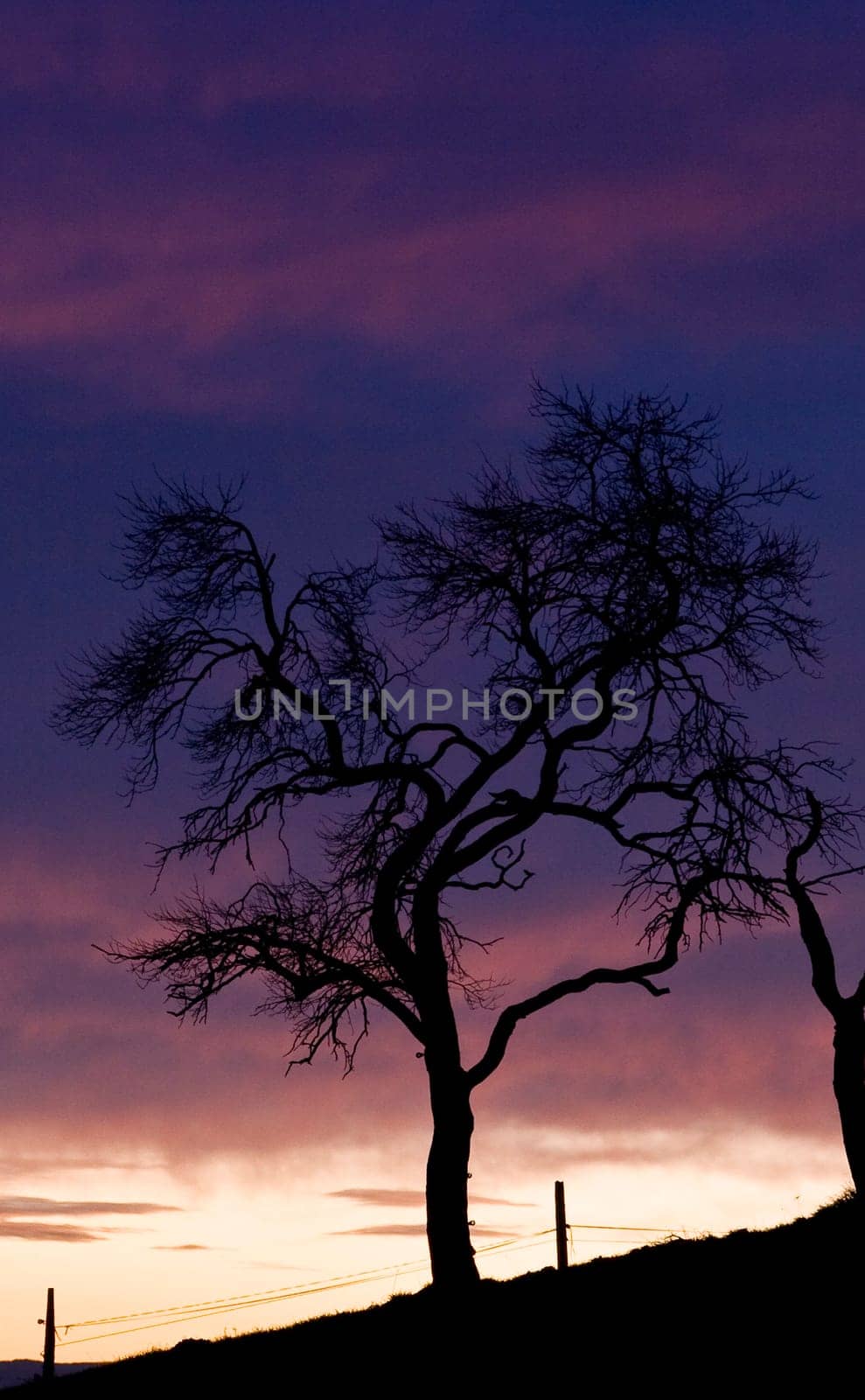 sunset or (sunset beach) or (sunset nature) or (sunset skyline)