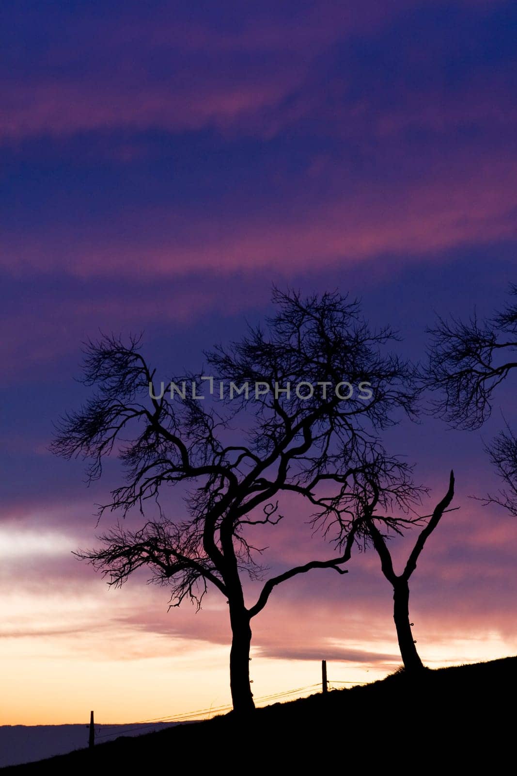 sunset or (sunset beach) or (sunset nature) or (sunset skyline)