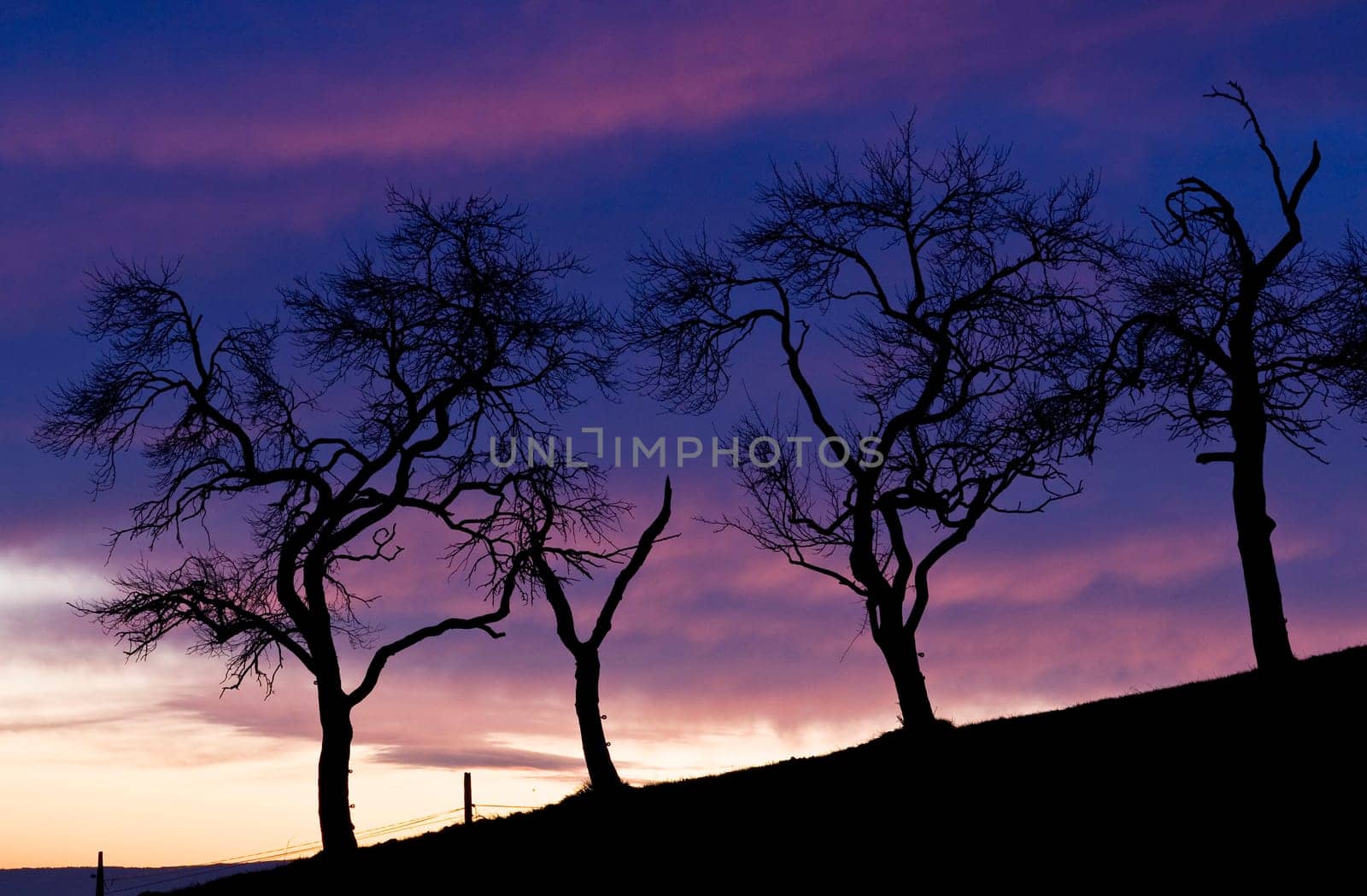 sunset or (sunset beach) or (sunset nature) or (sunset skyline)